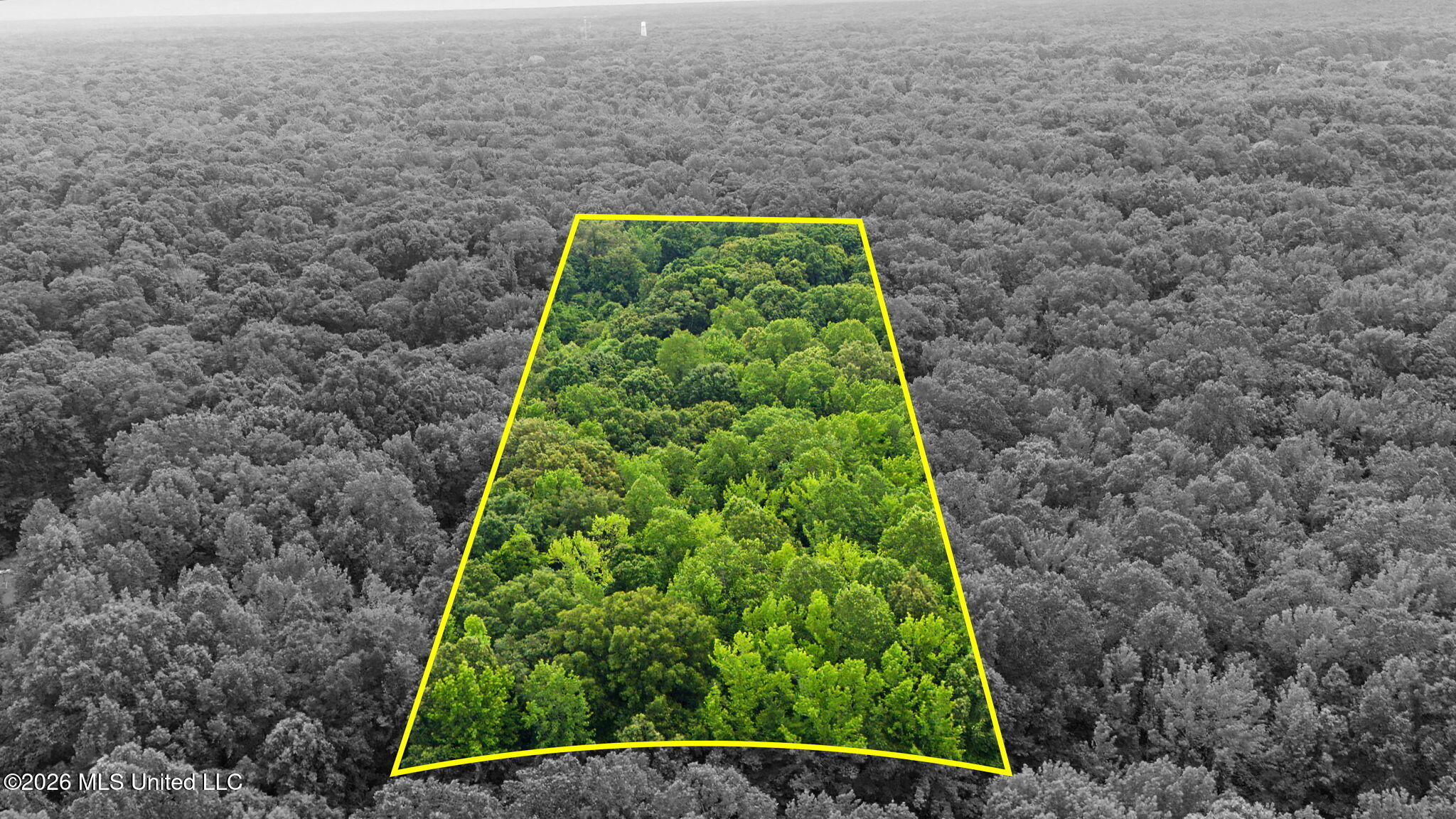 Tanyard Road Property Photo 1