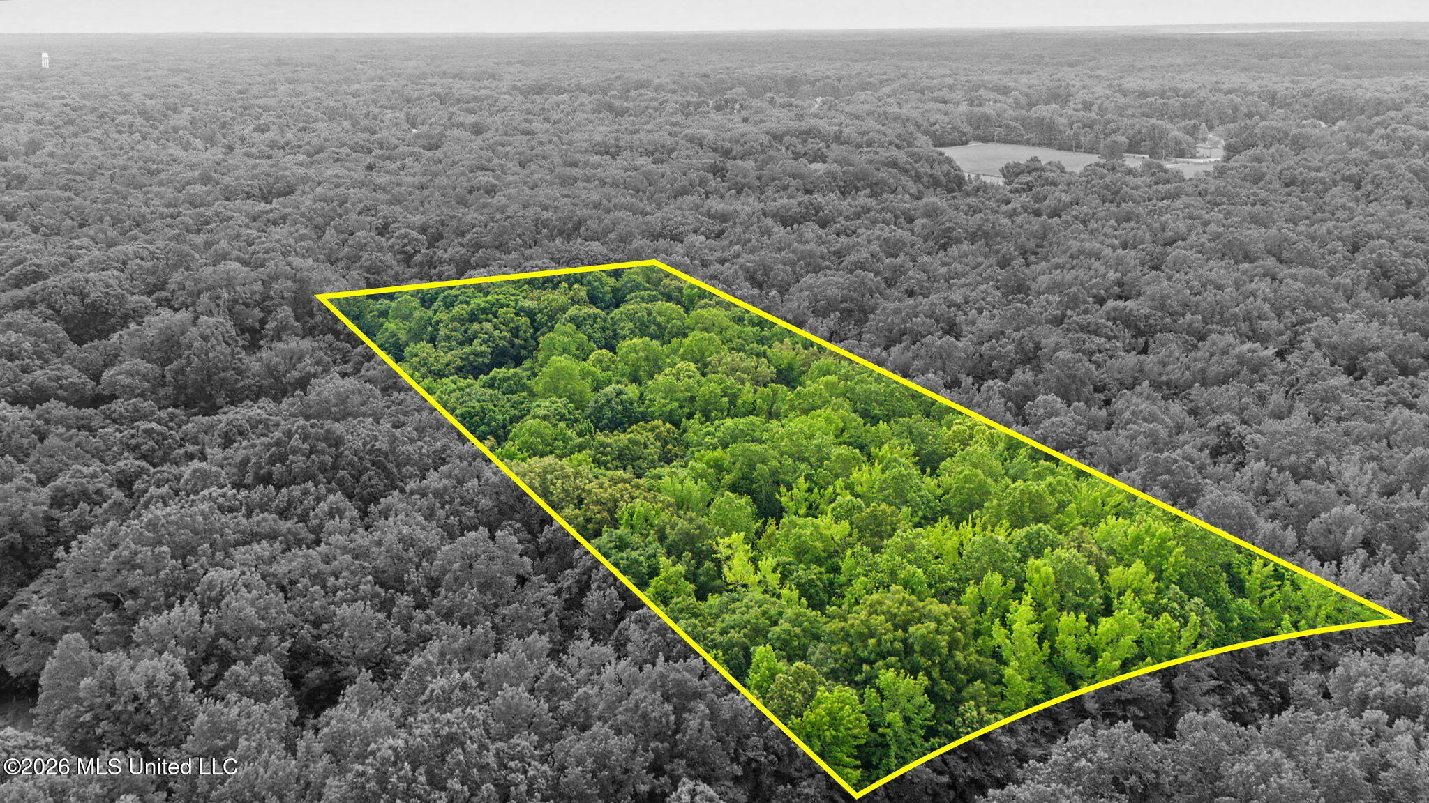 Tanyard Road Property Photo 3
