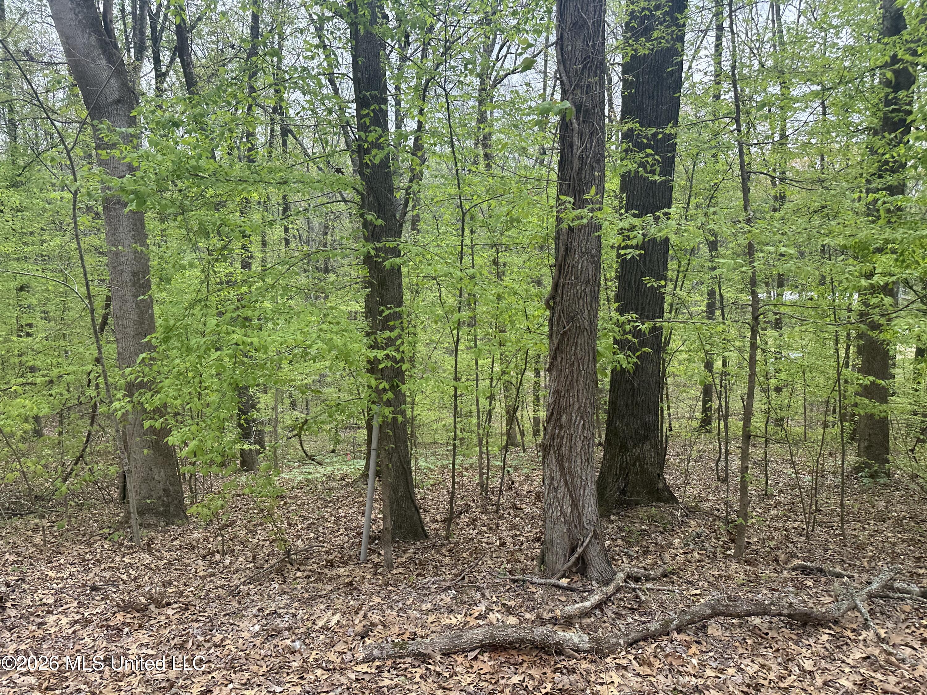 Tanyard Road Property Photo 8