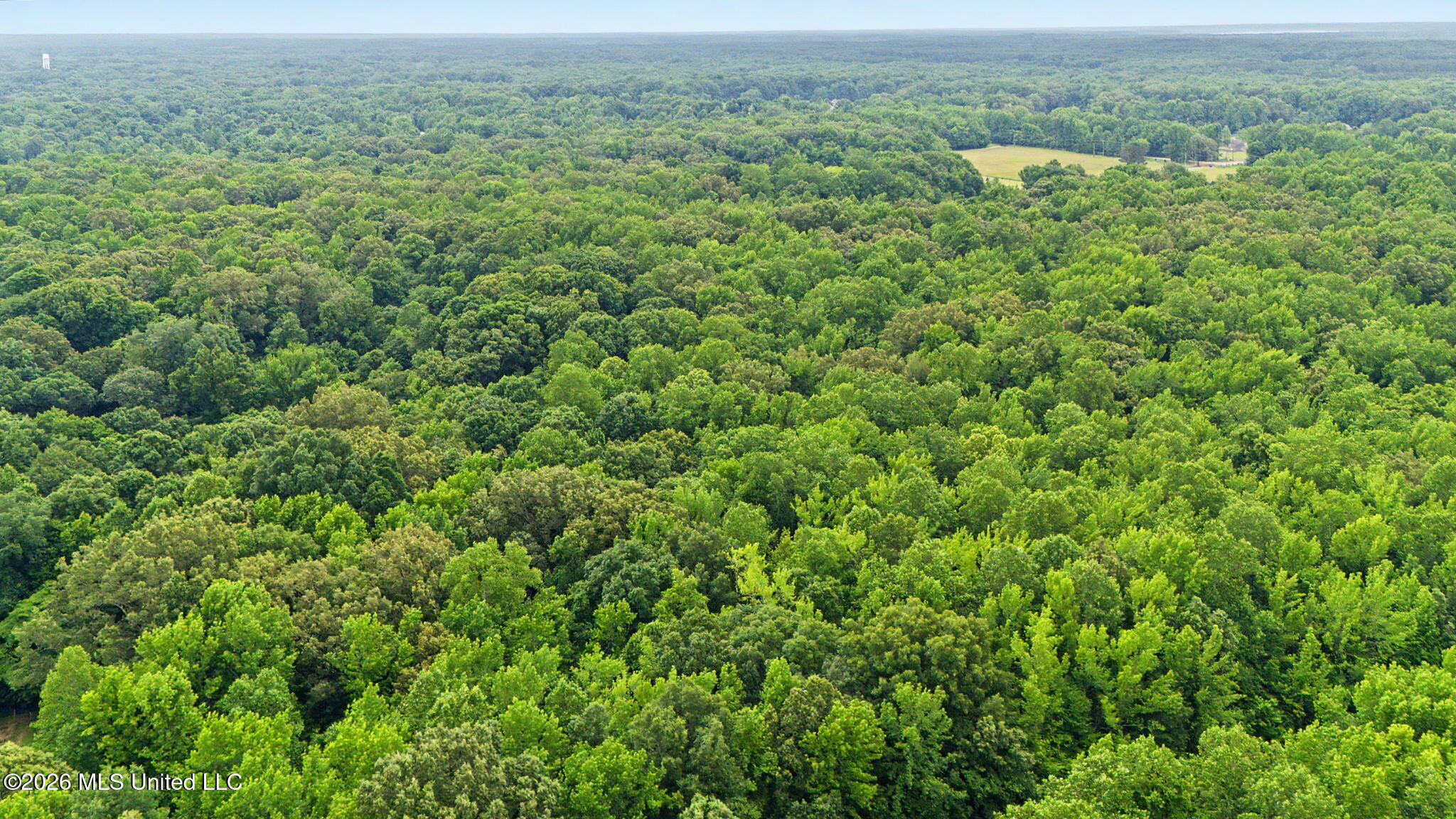 Tanyard Road Property Photo 11