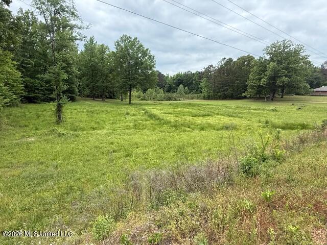 W Grady Road Property Photo 4