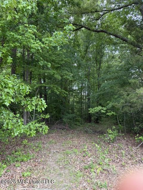 W Grady Road Property Photo 8