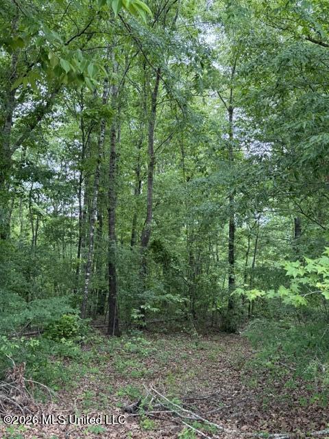 W Grady Road Property Photo 9