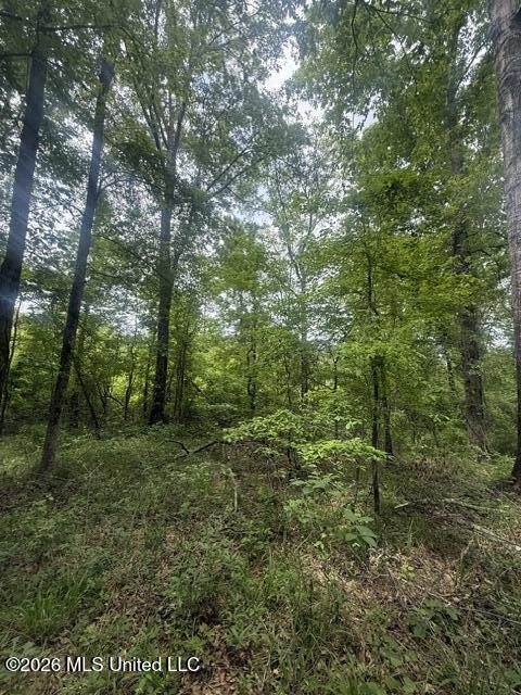 W Grady Road Property Photo 10
