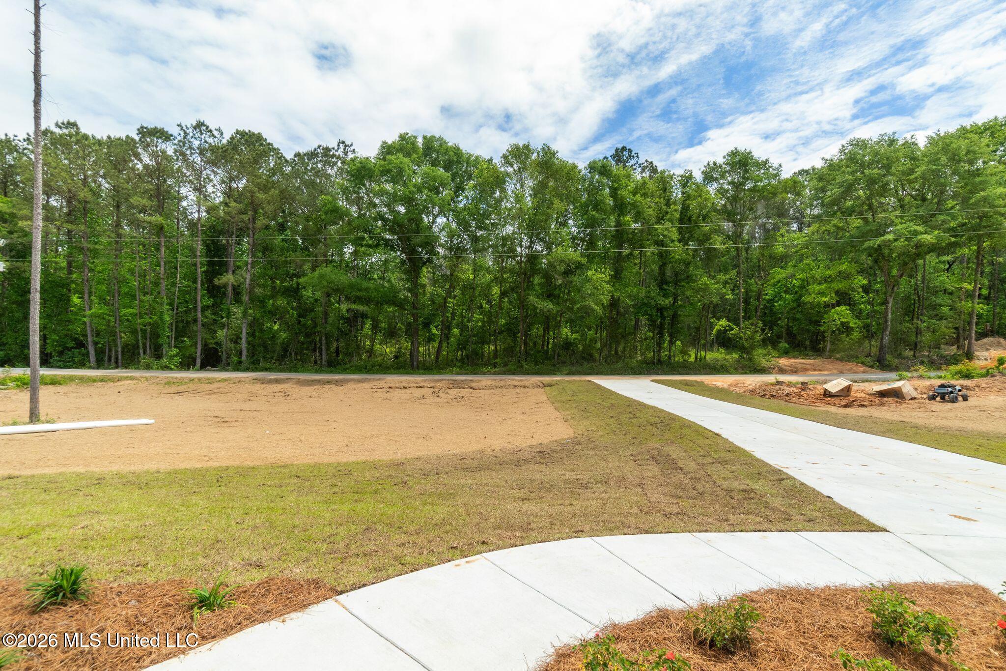 61 Noel Townsend Road Property Photo 6