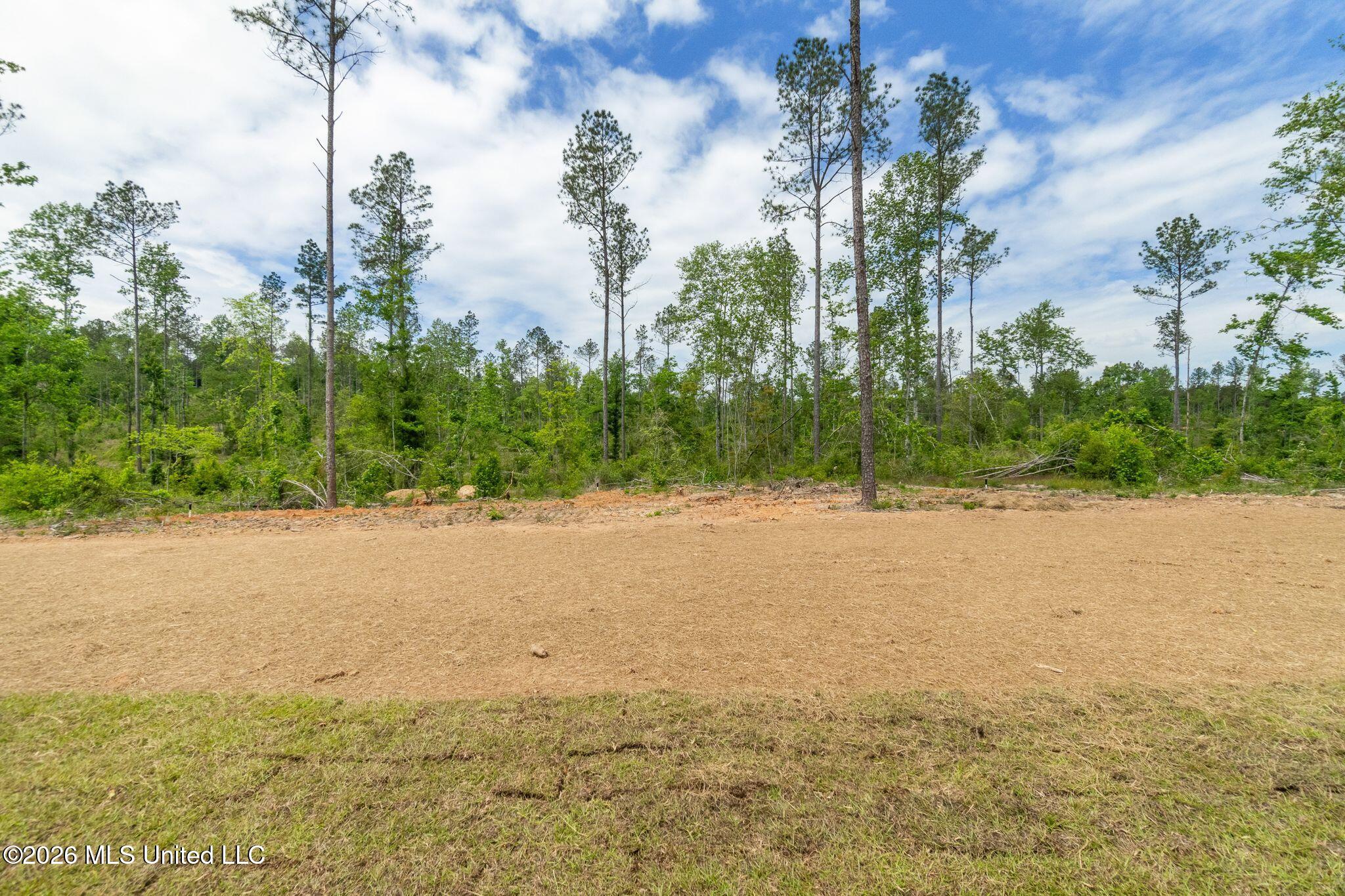 61 Noel Townsend Road Property Photo 34