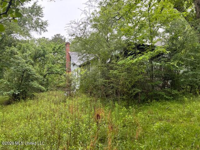 267 Lewis Road Property Photo 4