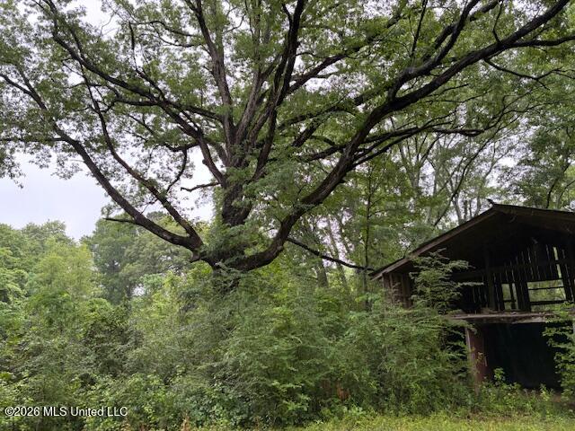 267 Lewis Road Property Photo 9