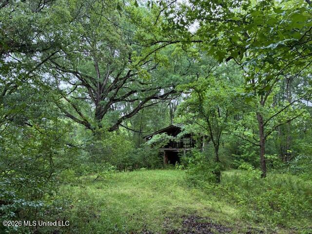 267 Lewis Road Property Photo 10