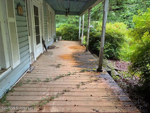 267 Lewis Road Property Photo 23