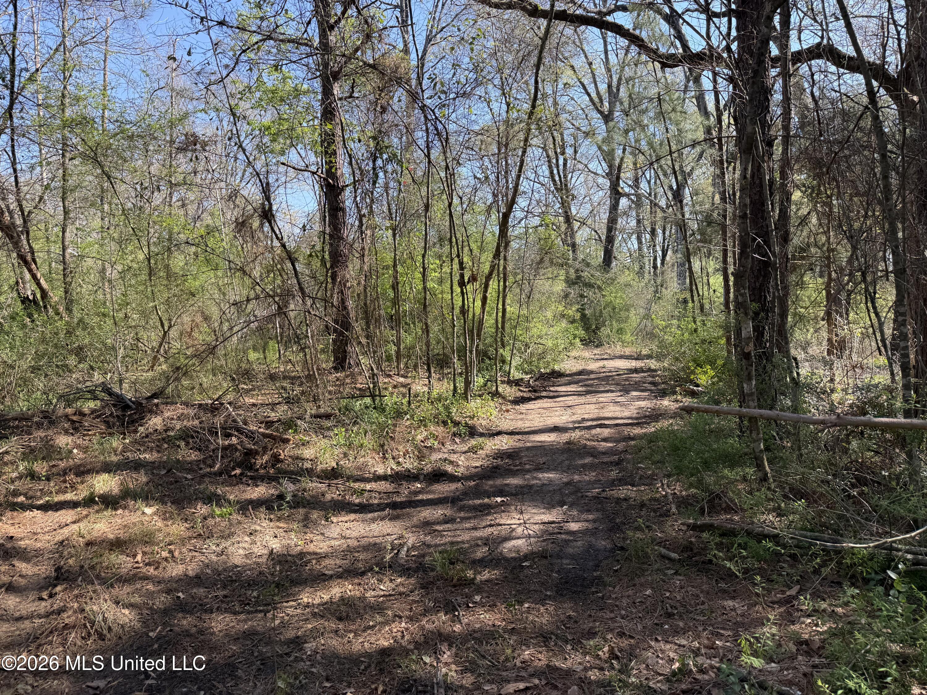 7020 S Siwell Road Property Photo 6