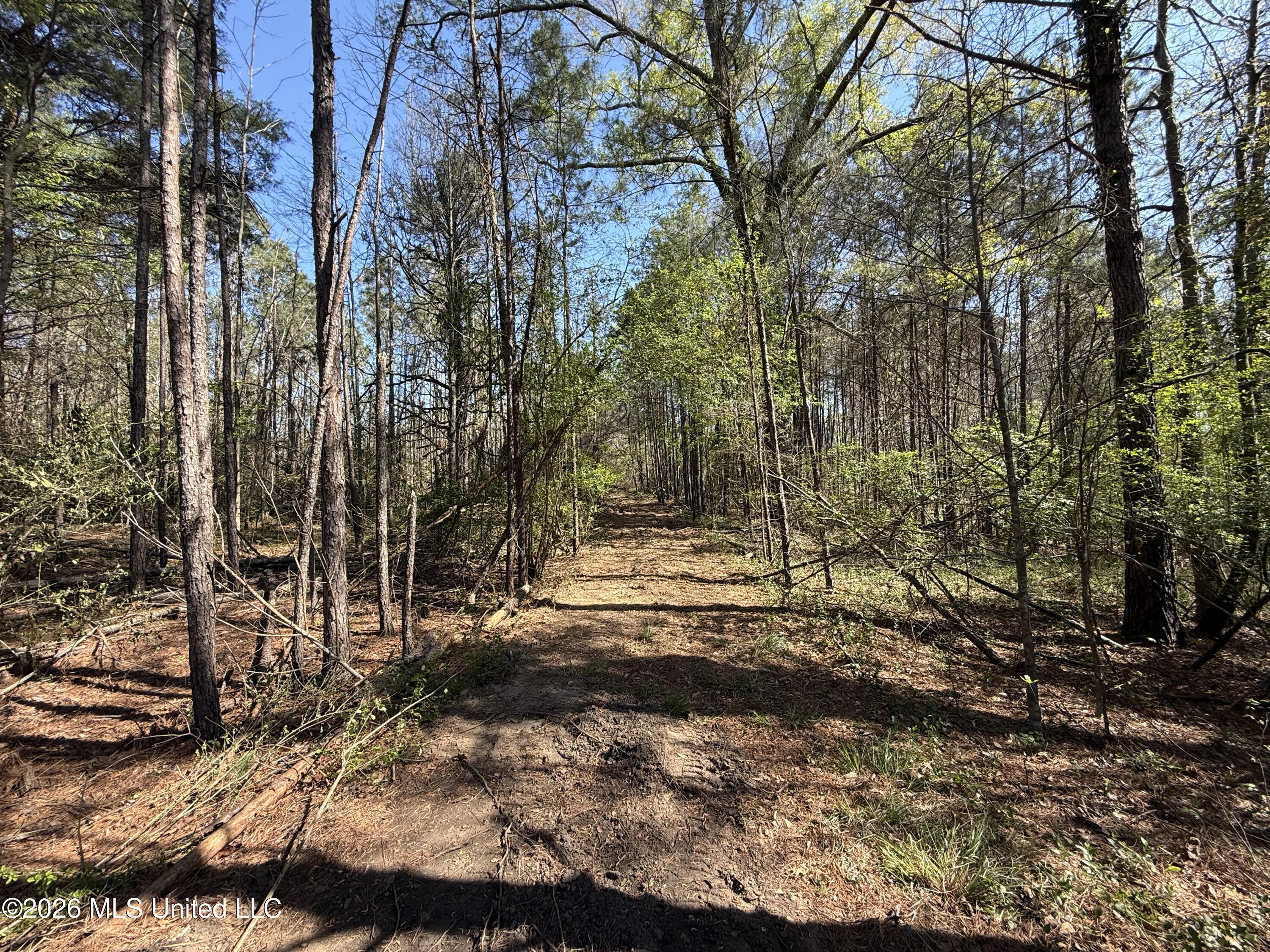 7020 S Siwell Road Property Photo 7