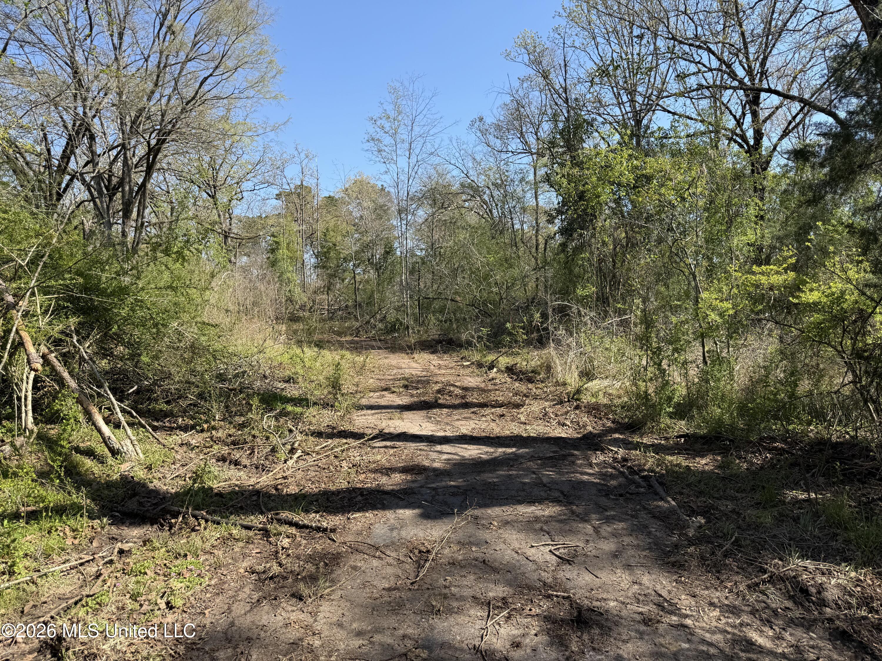 7020 S Siwell Road Property Photo 10