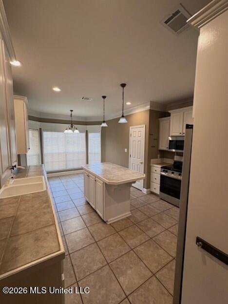 11558 Briarstone Place Property Photo 9