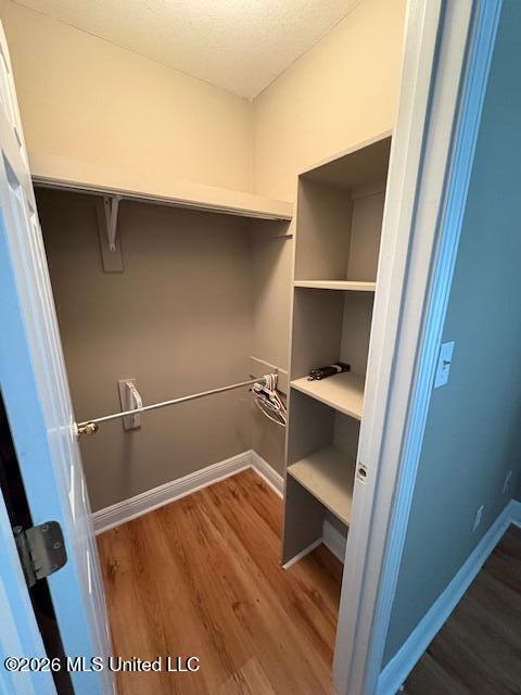 11558 Briarstone Place Property Photo 37