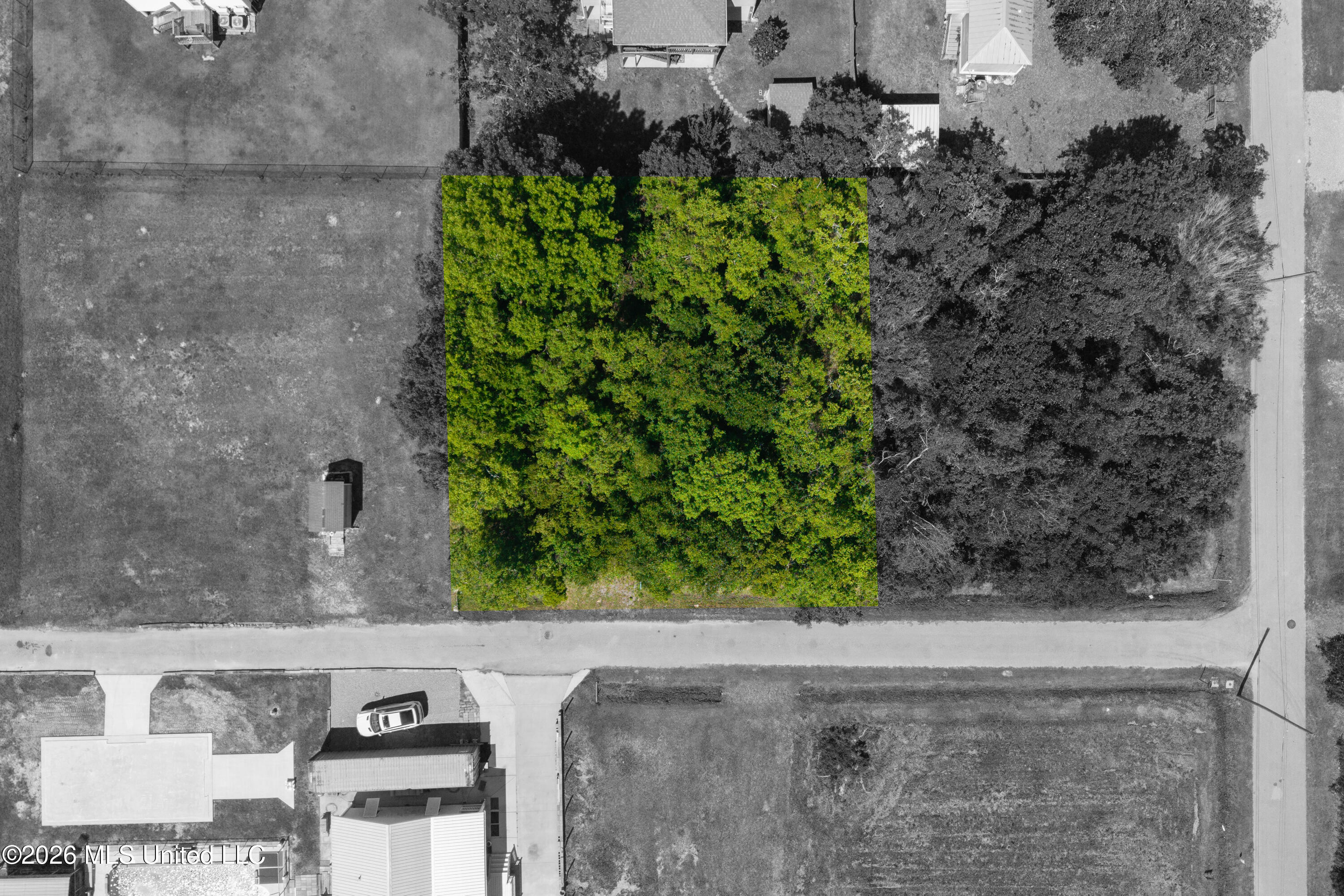 306 Perron Street Property Photo 7