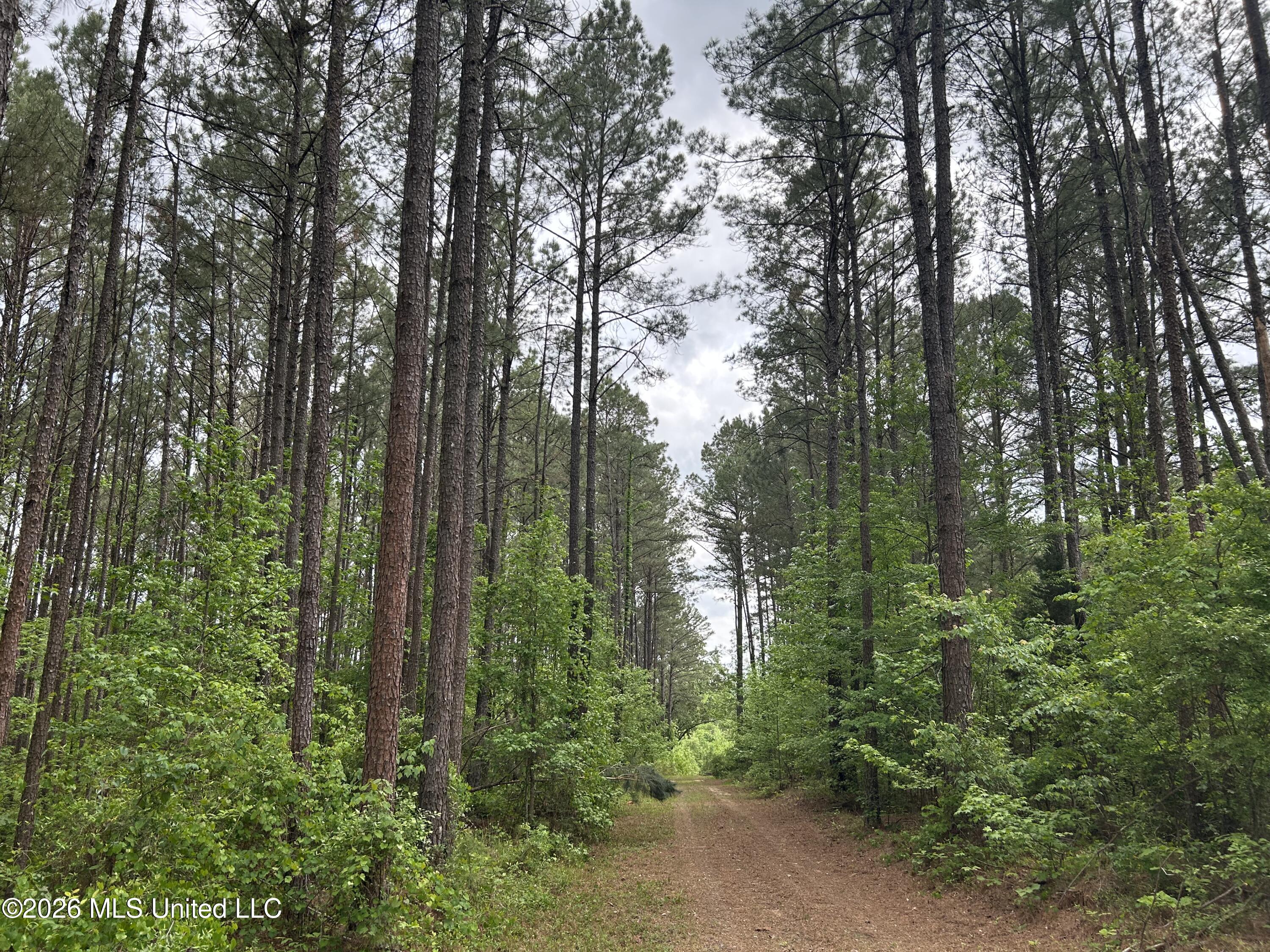 County Road 2608 Property Photo 2