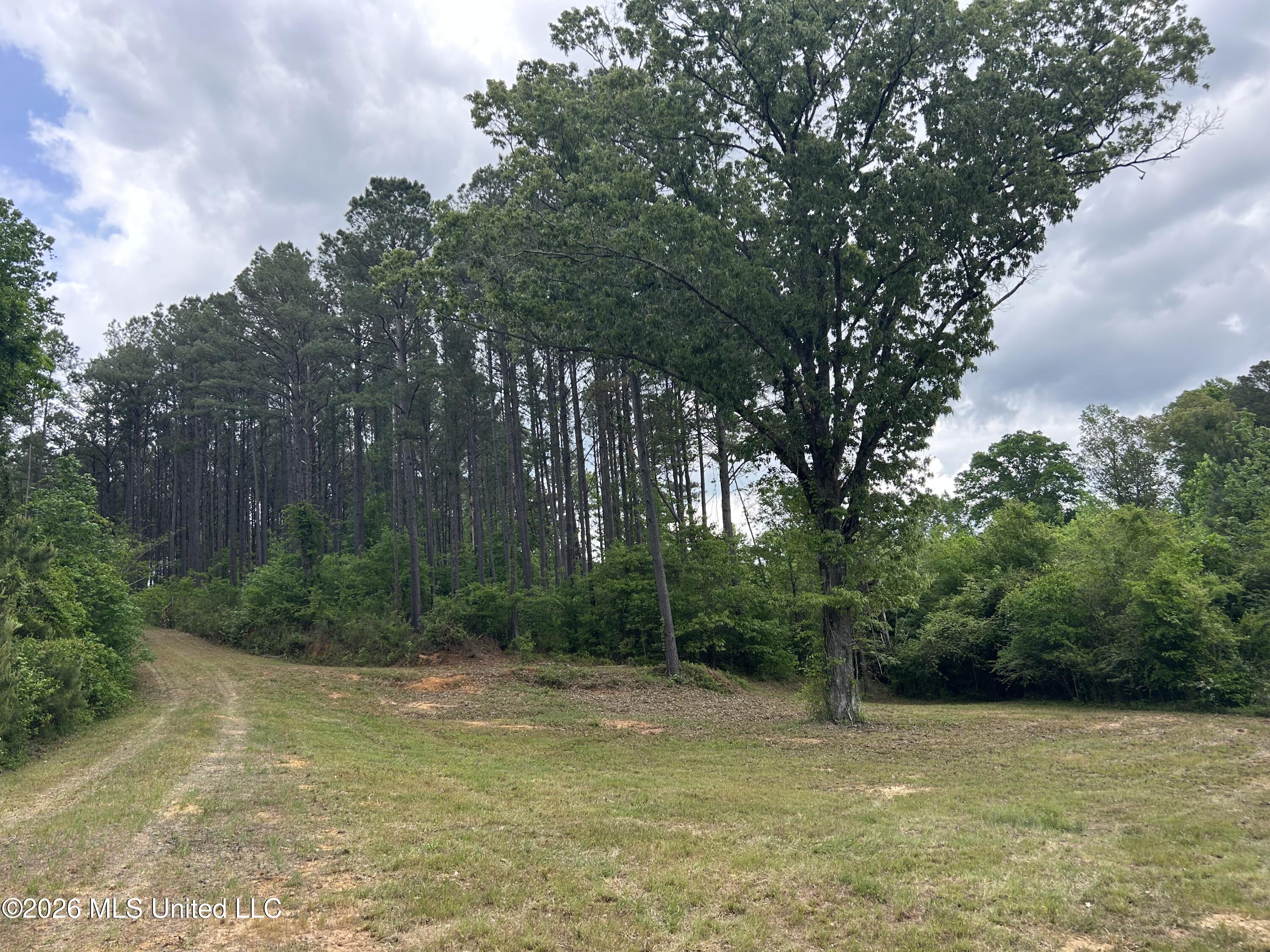 County Road 2608 Property Photo 3