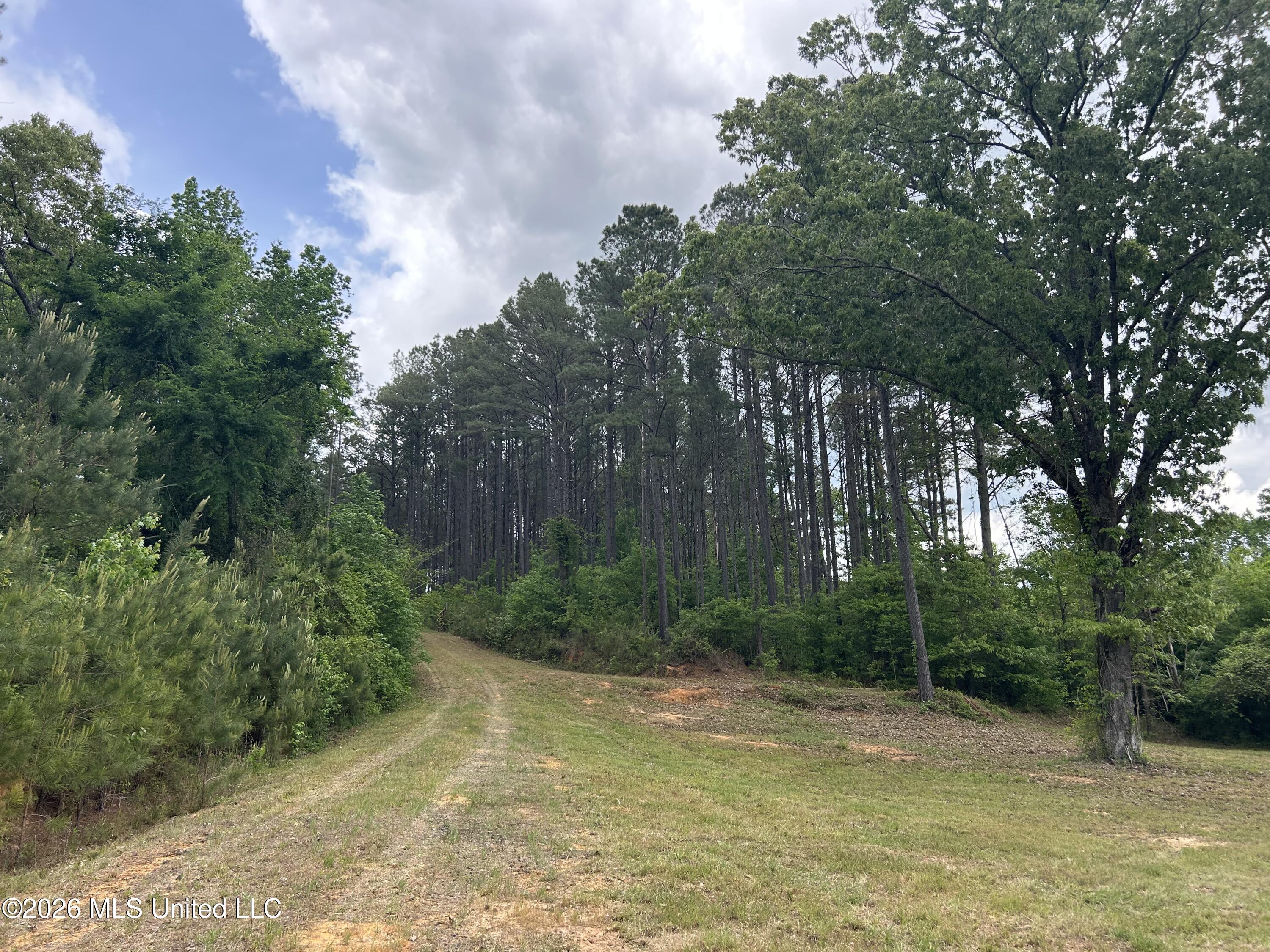 County Road 2608 Property Photo 7