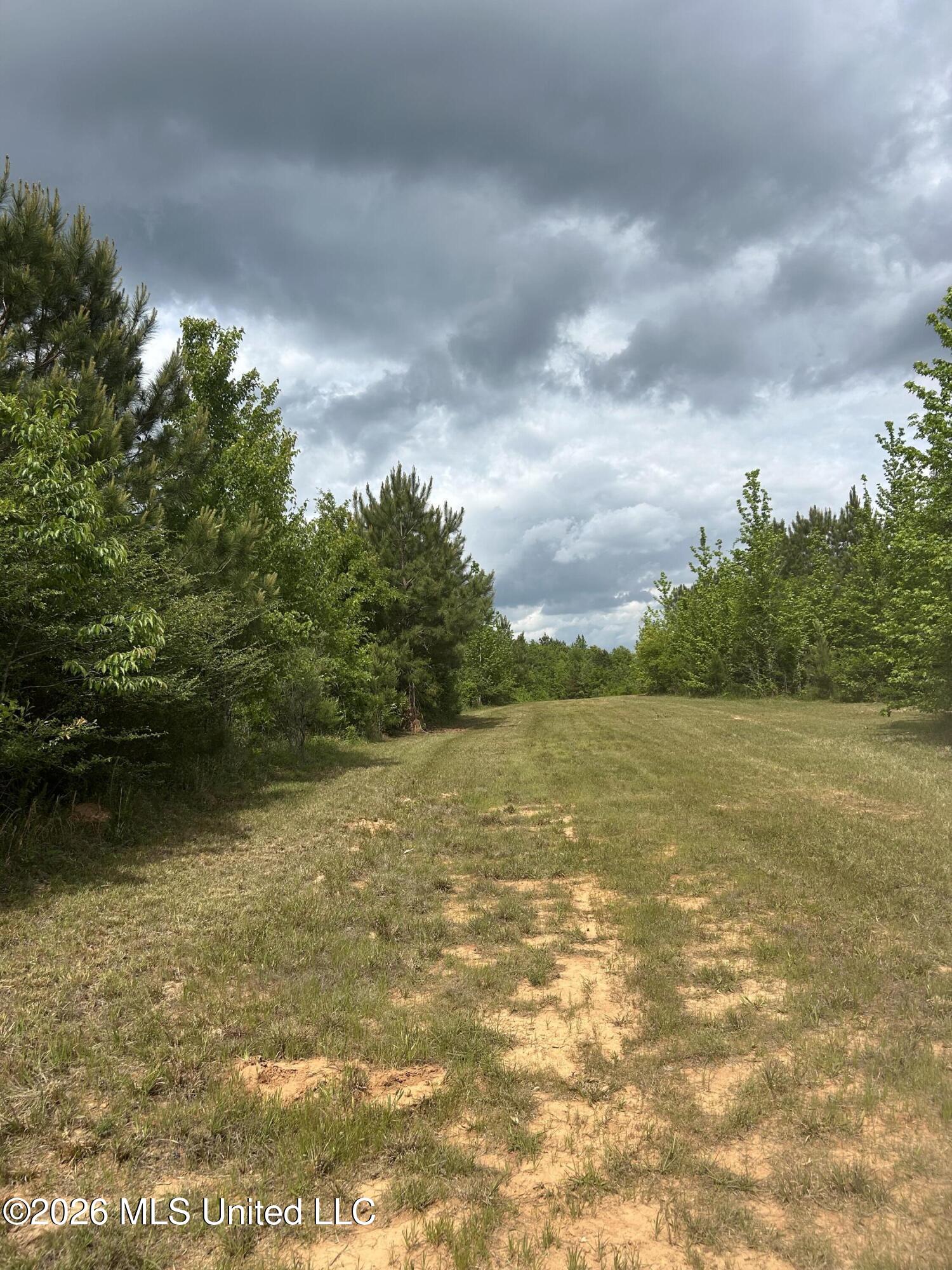 County Road 2608 Property Photo 8