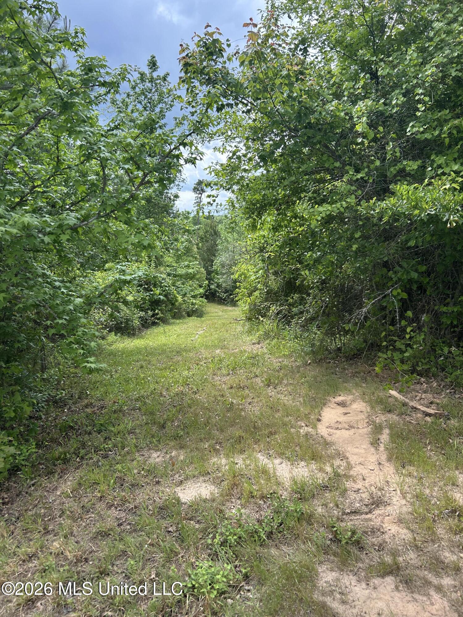 County Road 2608 Property Photo 12