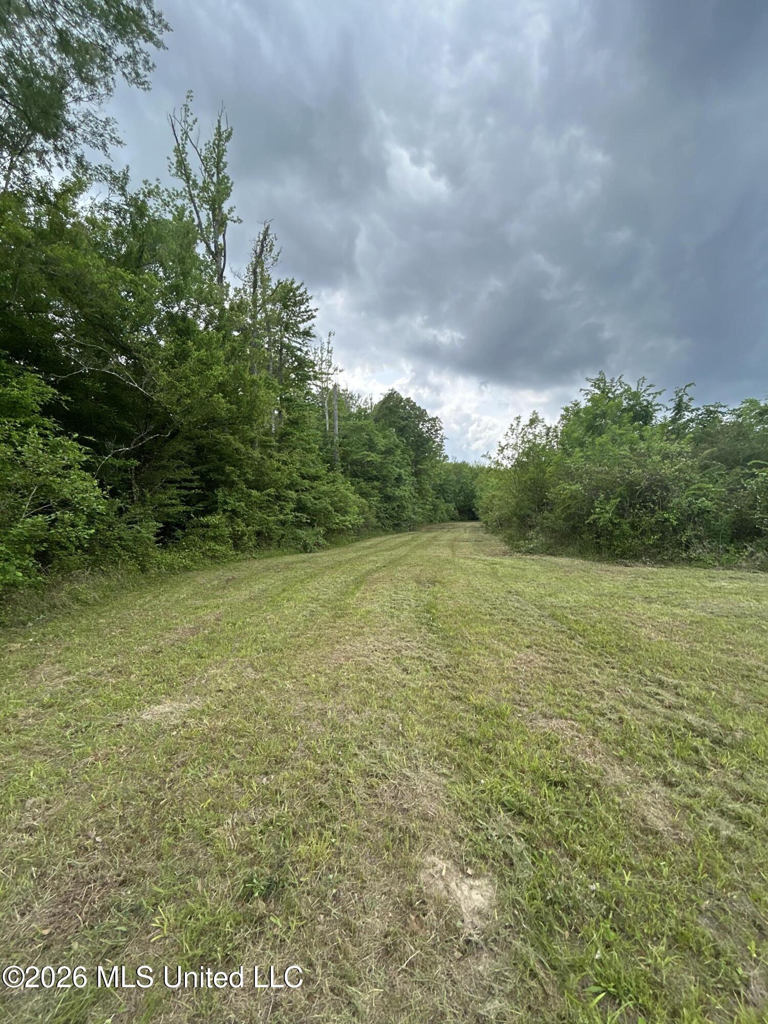 County Road 2608 Property Photo 13