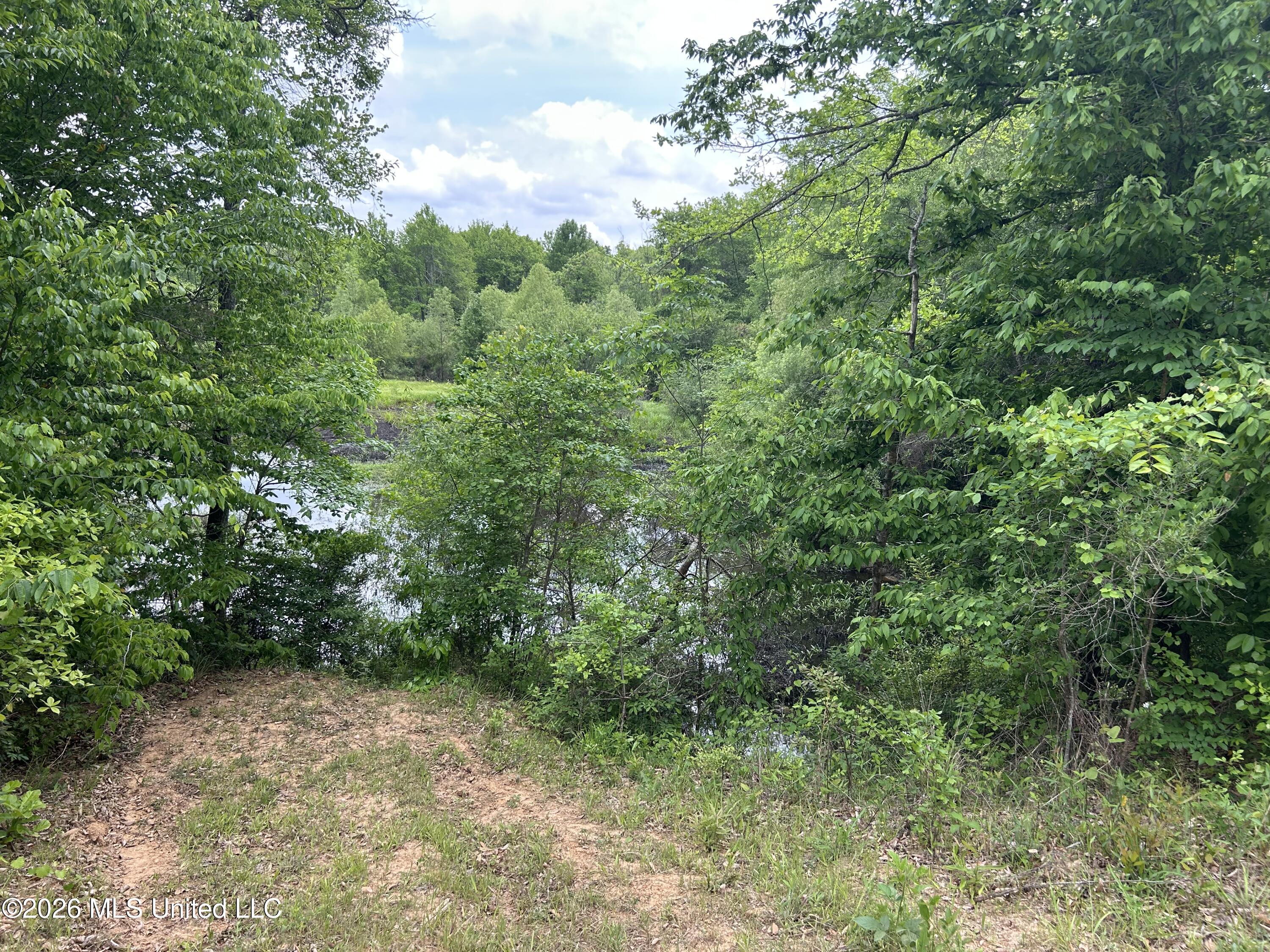 County Road 2608 Property Photo 18