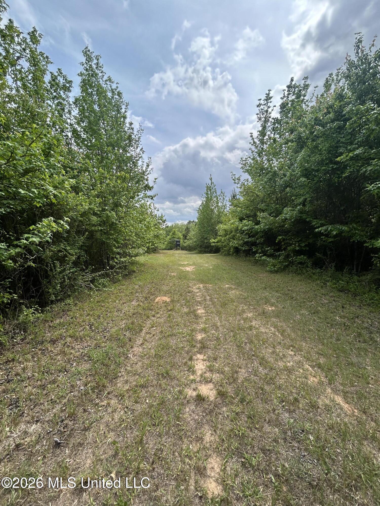 County Road 2608 Property Photo 19