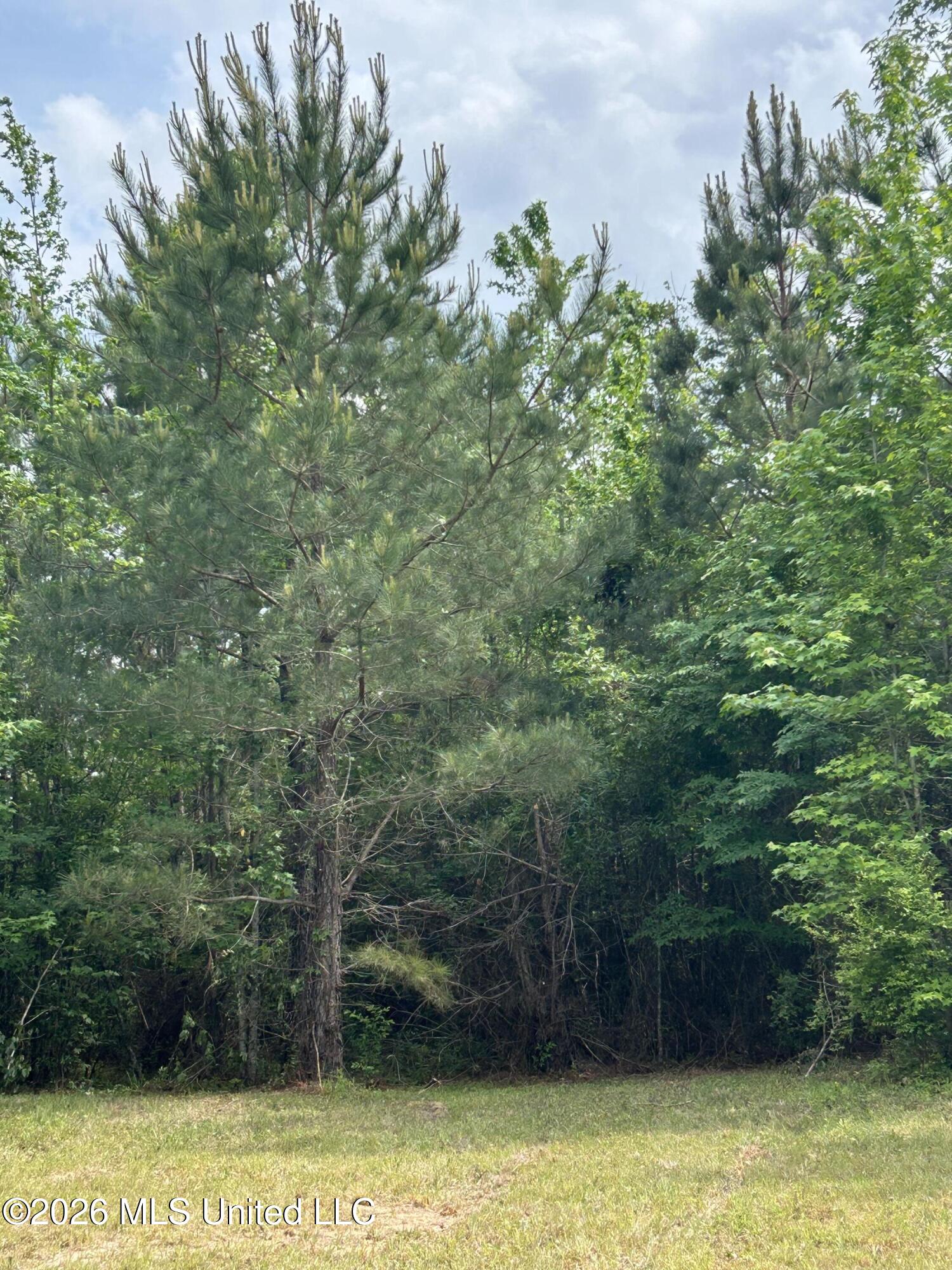 County Road 2608 Property Photo 23