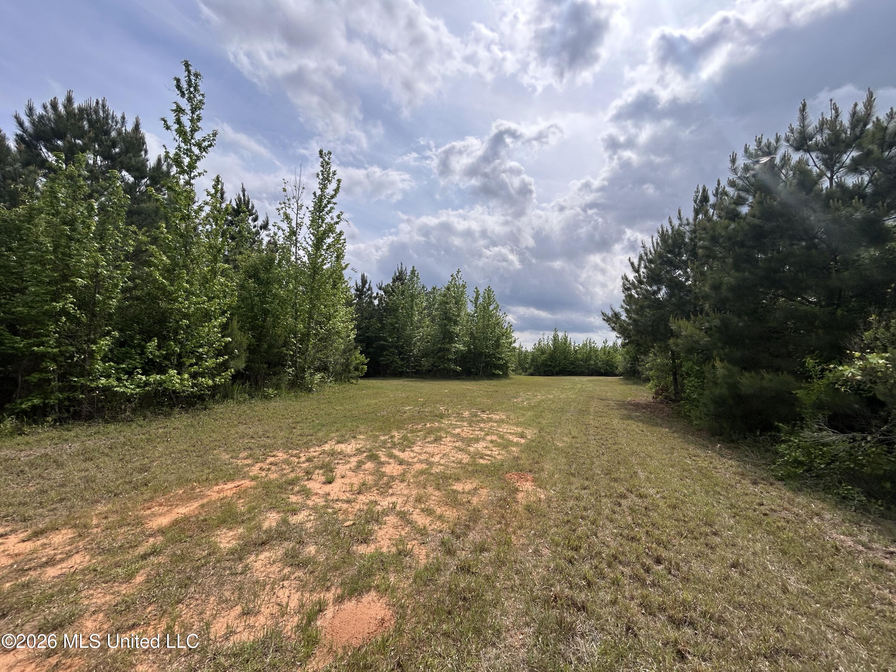 County Road 2608 Property Photo 24