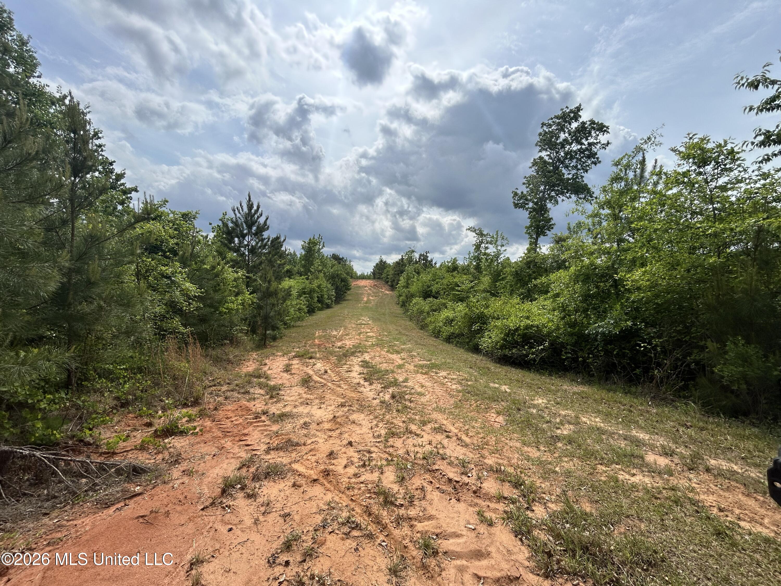 County Road 2608 Property Photo 25