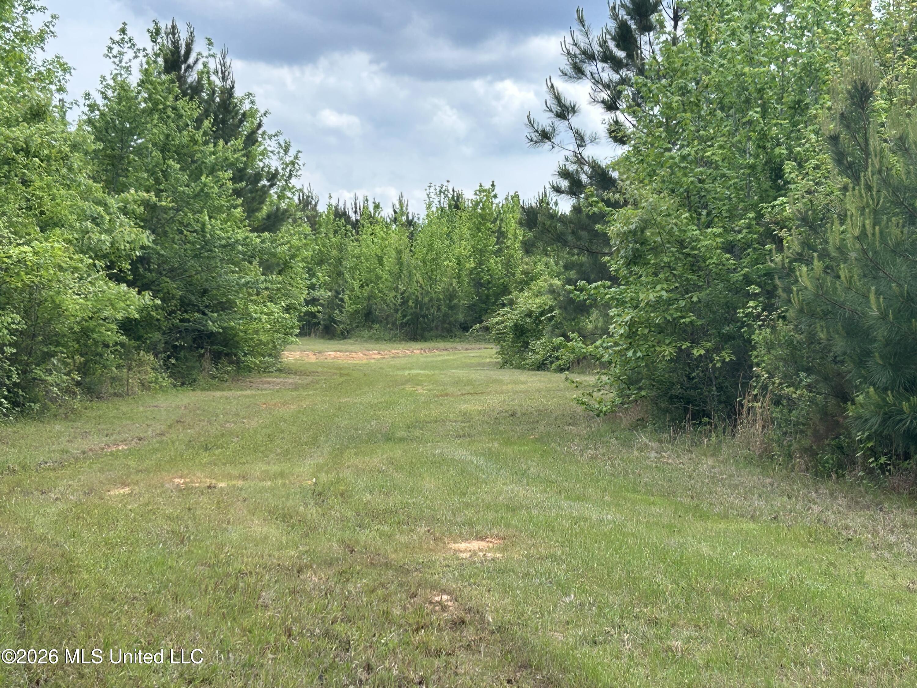 County Road 2608 Property Photo 30