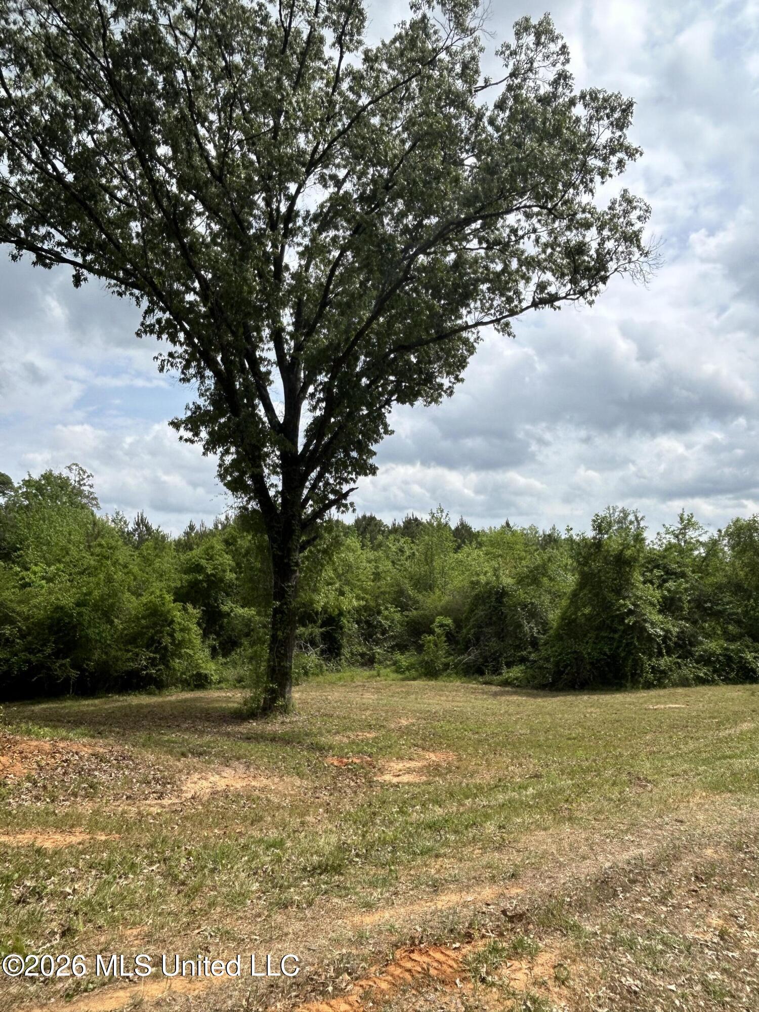 County Road 2608 Property Photo 32