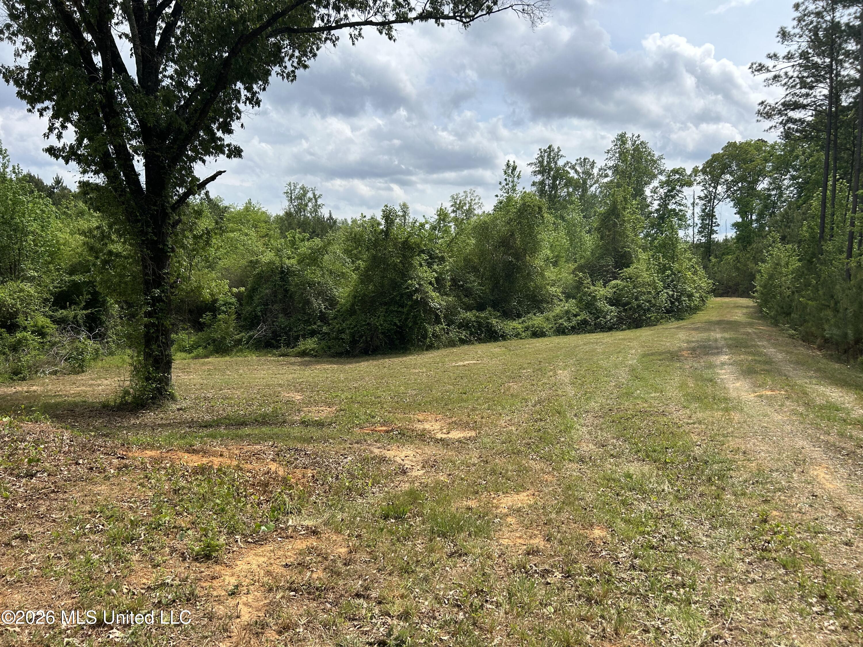 County Road 2608 Property Photo 33