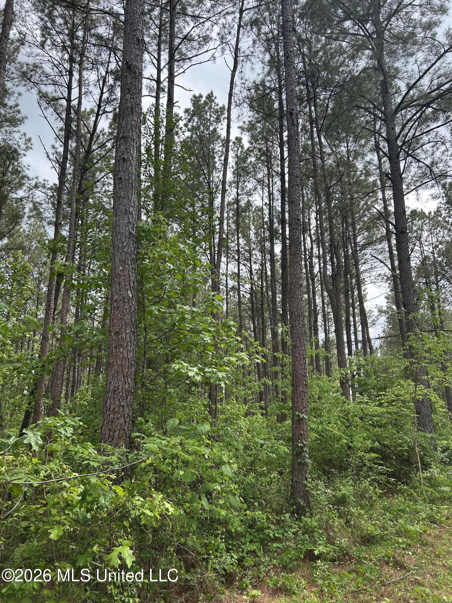 County Road 2608 Property Photo 36