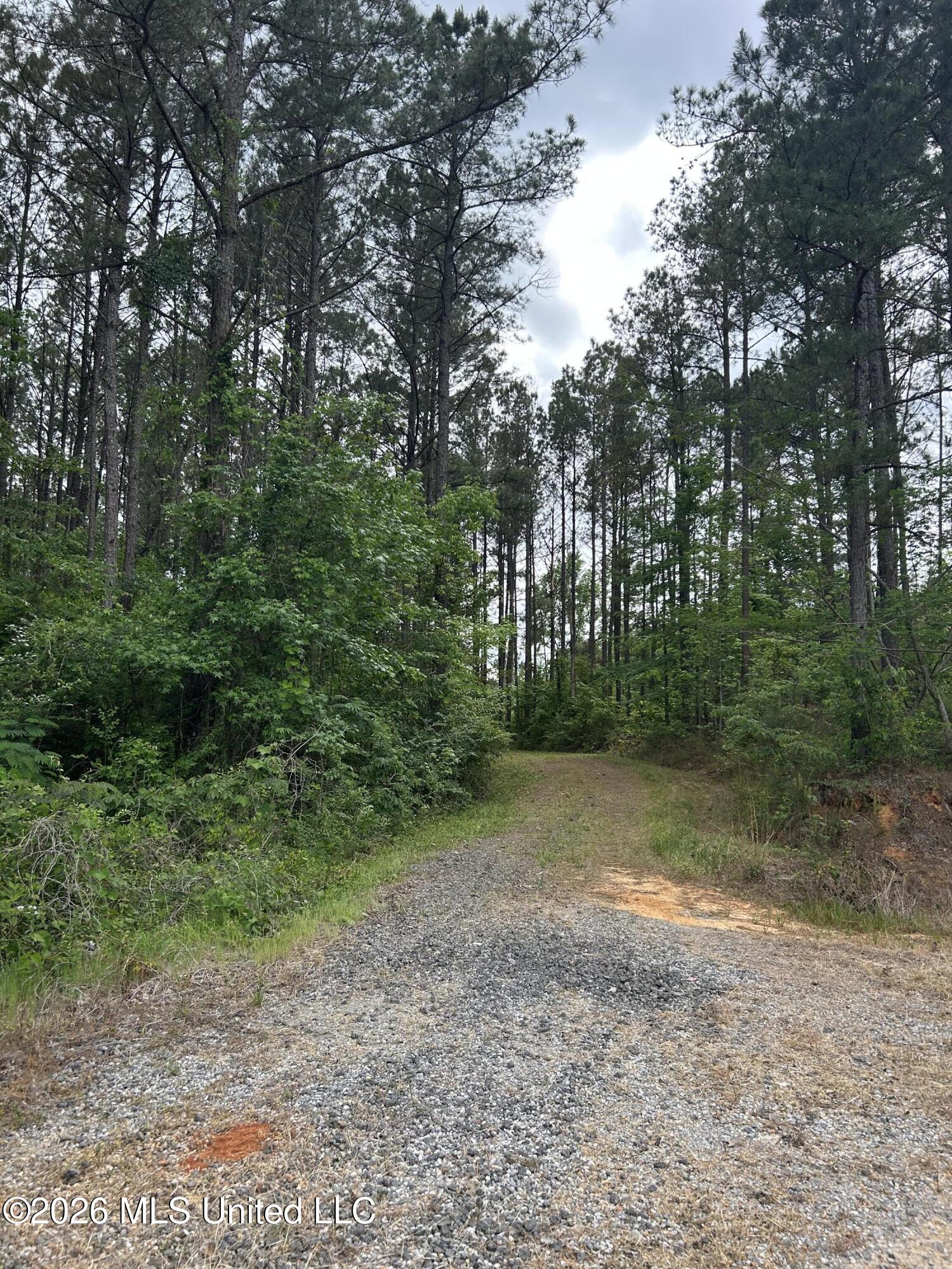 County Road 2608 Property Photo 37