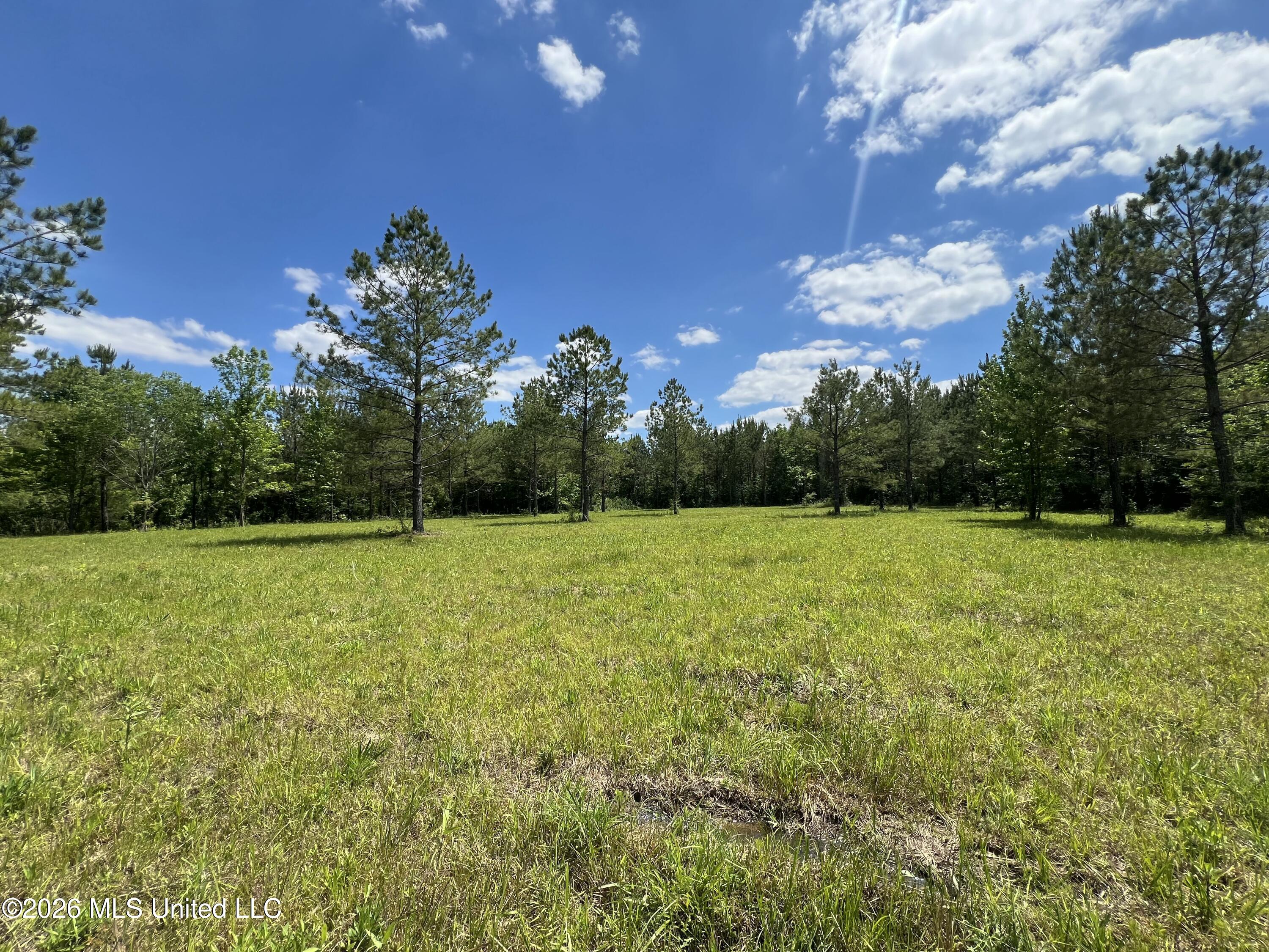 Haynes Chapel Road Property Photo 16