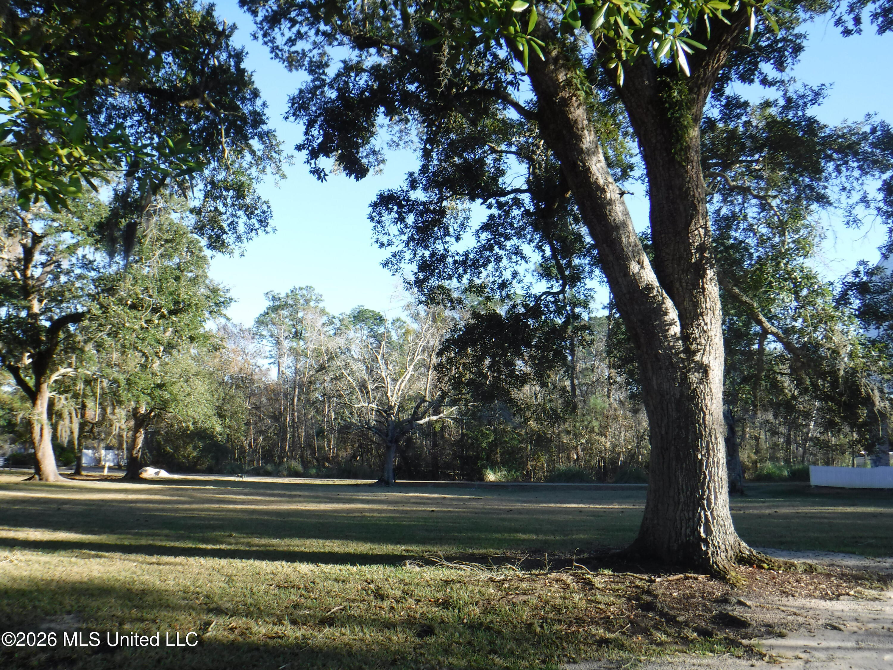 25 Devils Elbow Property Photo 9