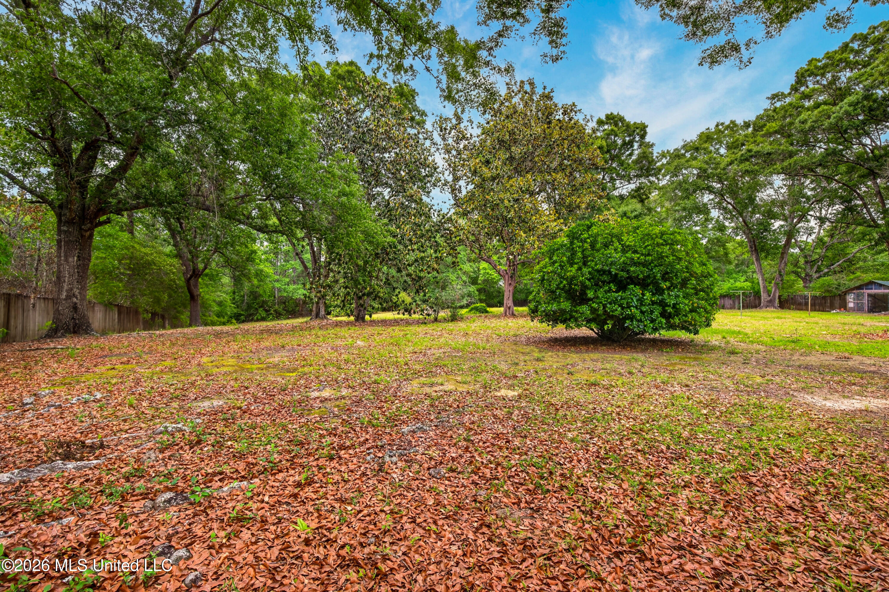 20536 Highway 53 Property Photo 54