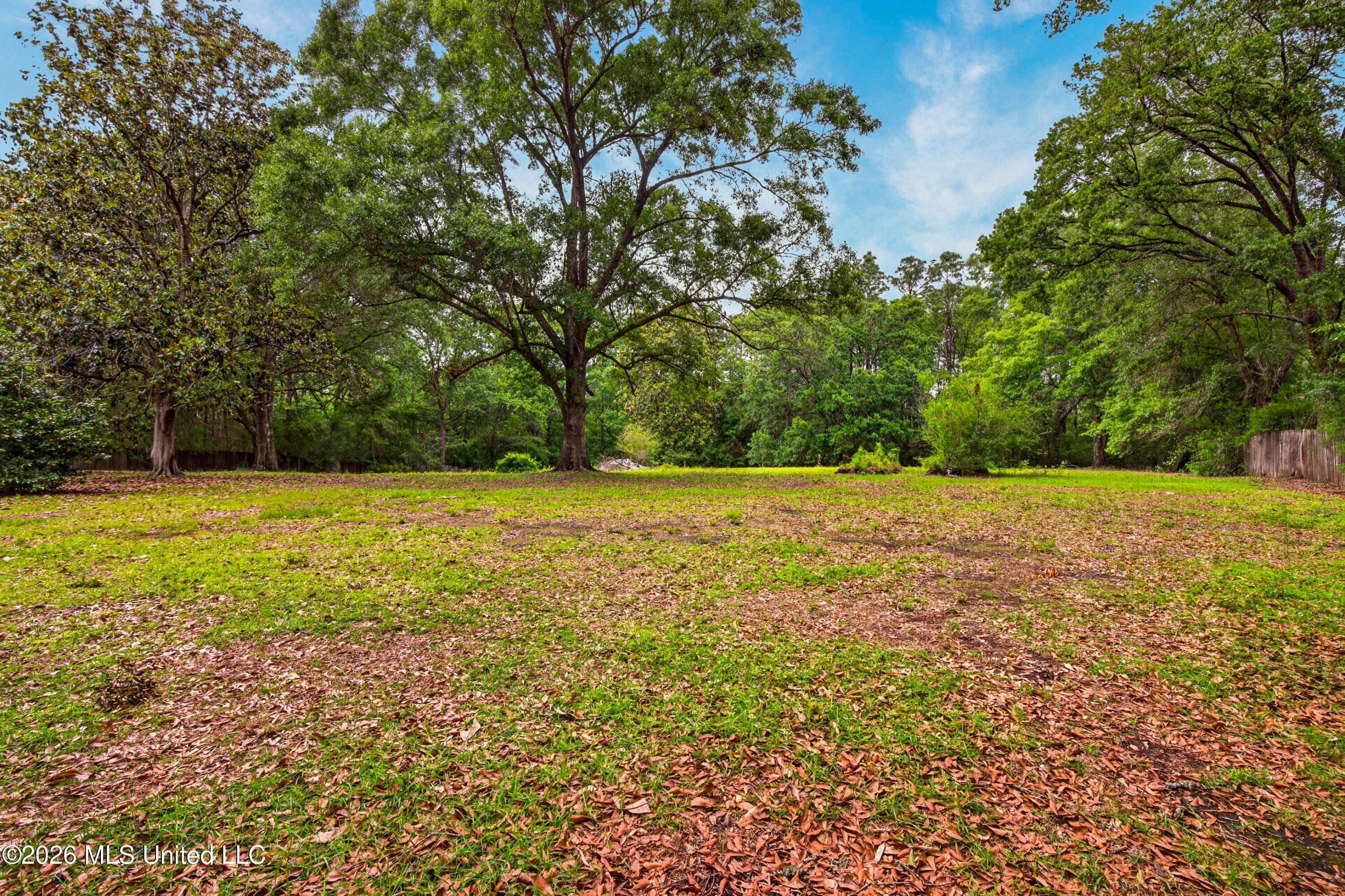 20536 Highway 53 Property Photo 58