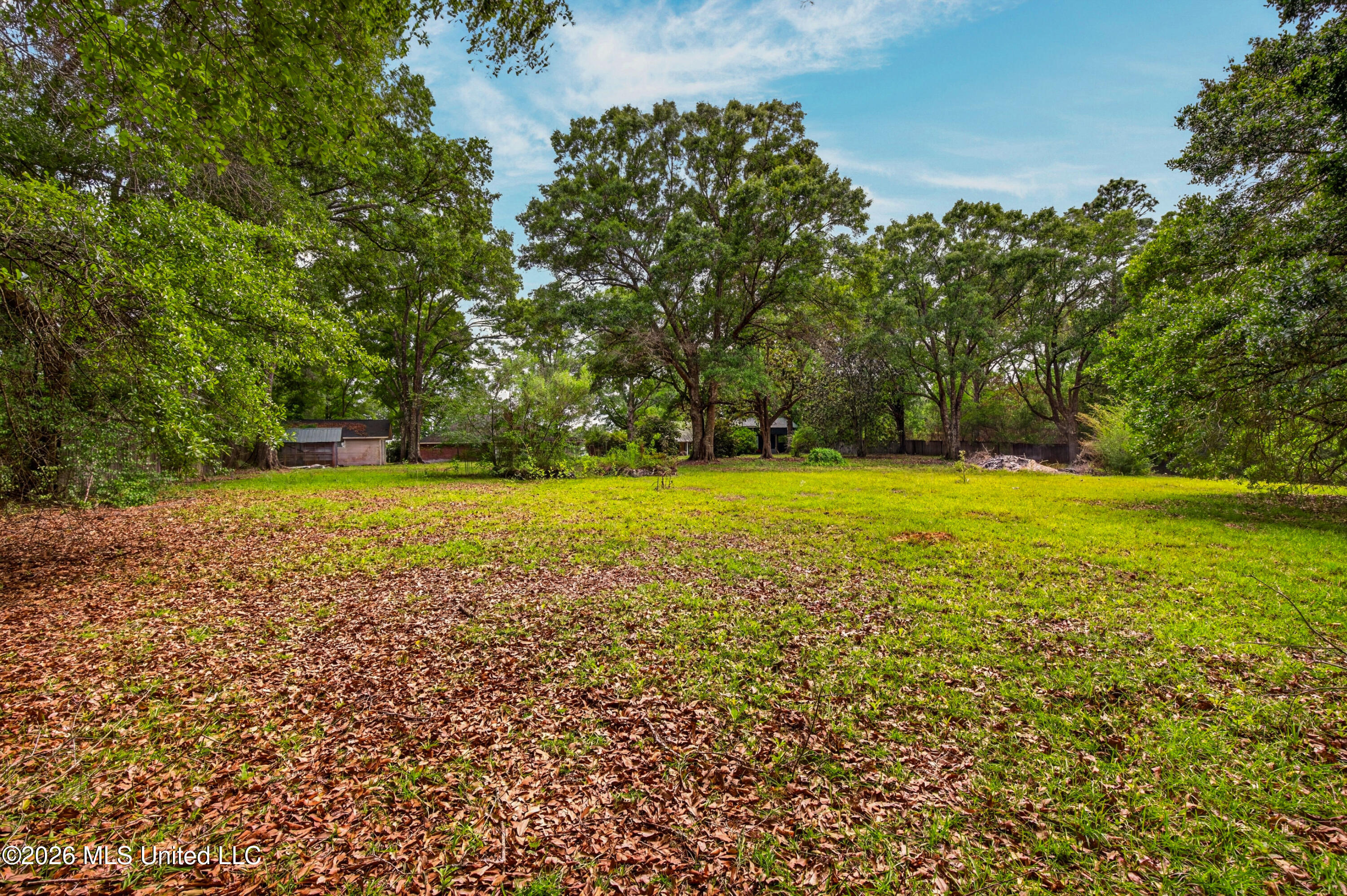 20536 Highway 53 Property Photo 59
