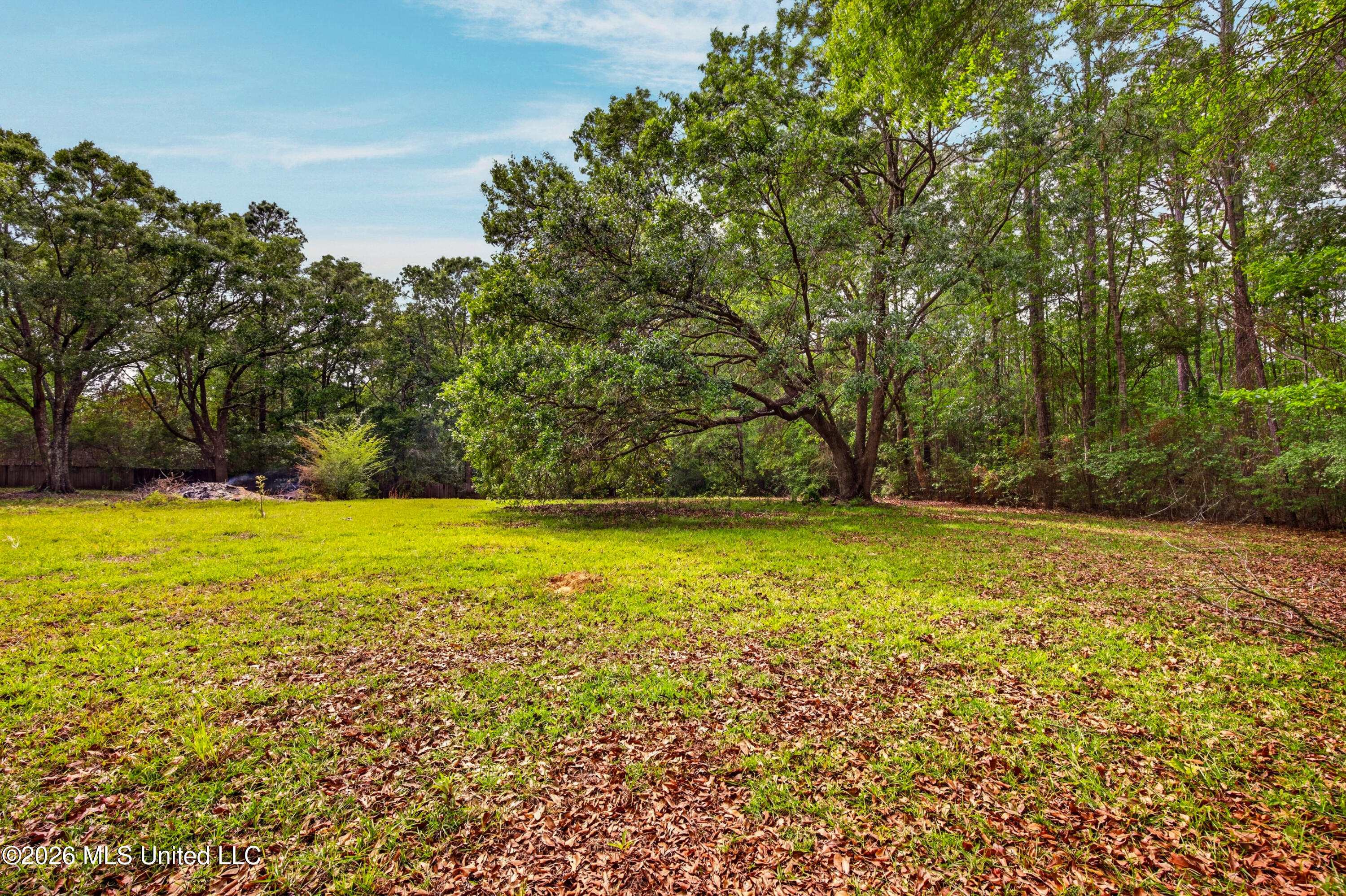 20536 Highway 53 Property Photo 60