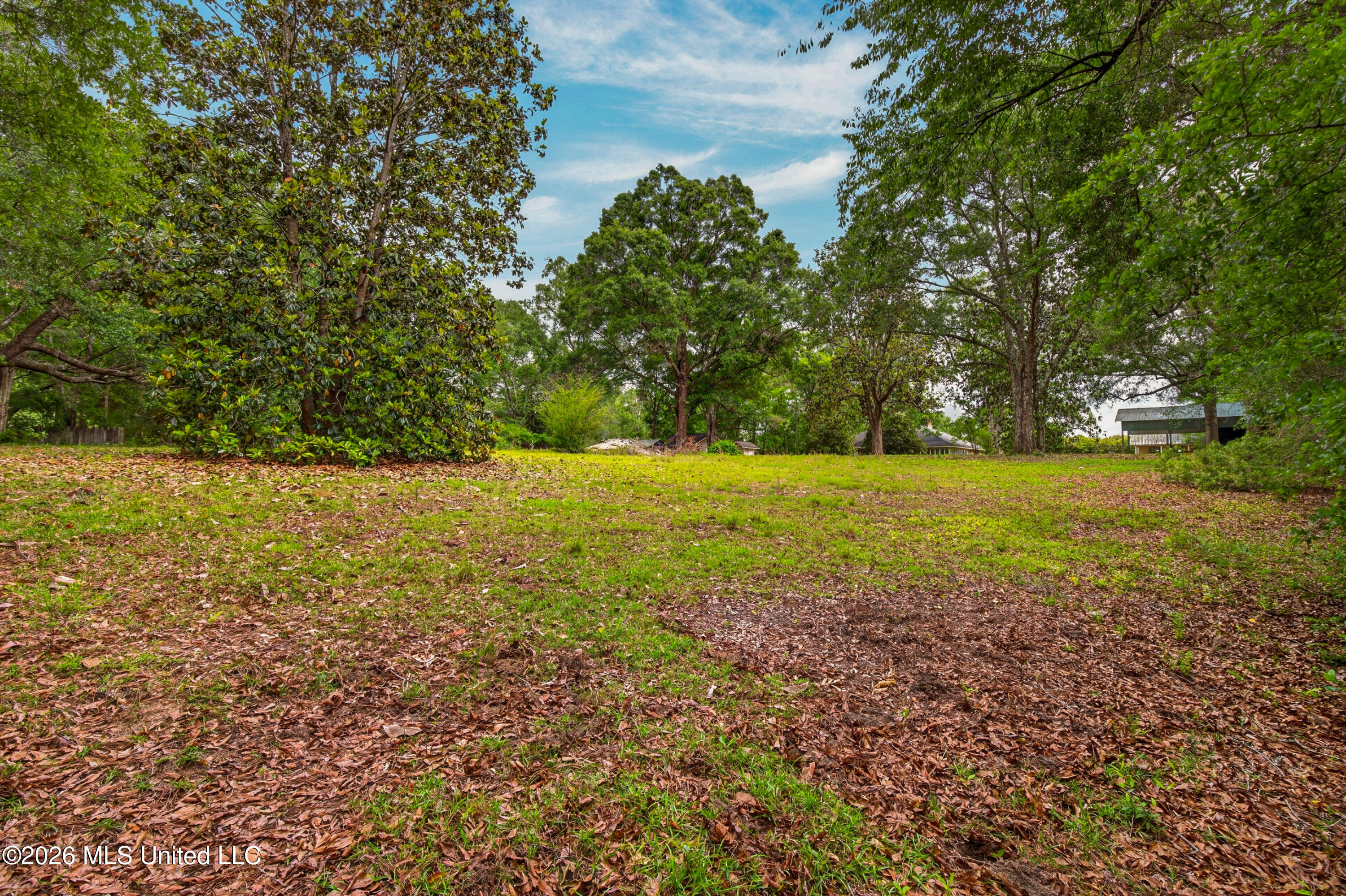 20536 Highway 53 Property Photo 64