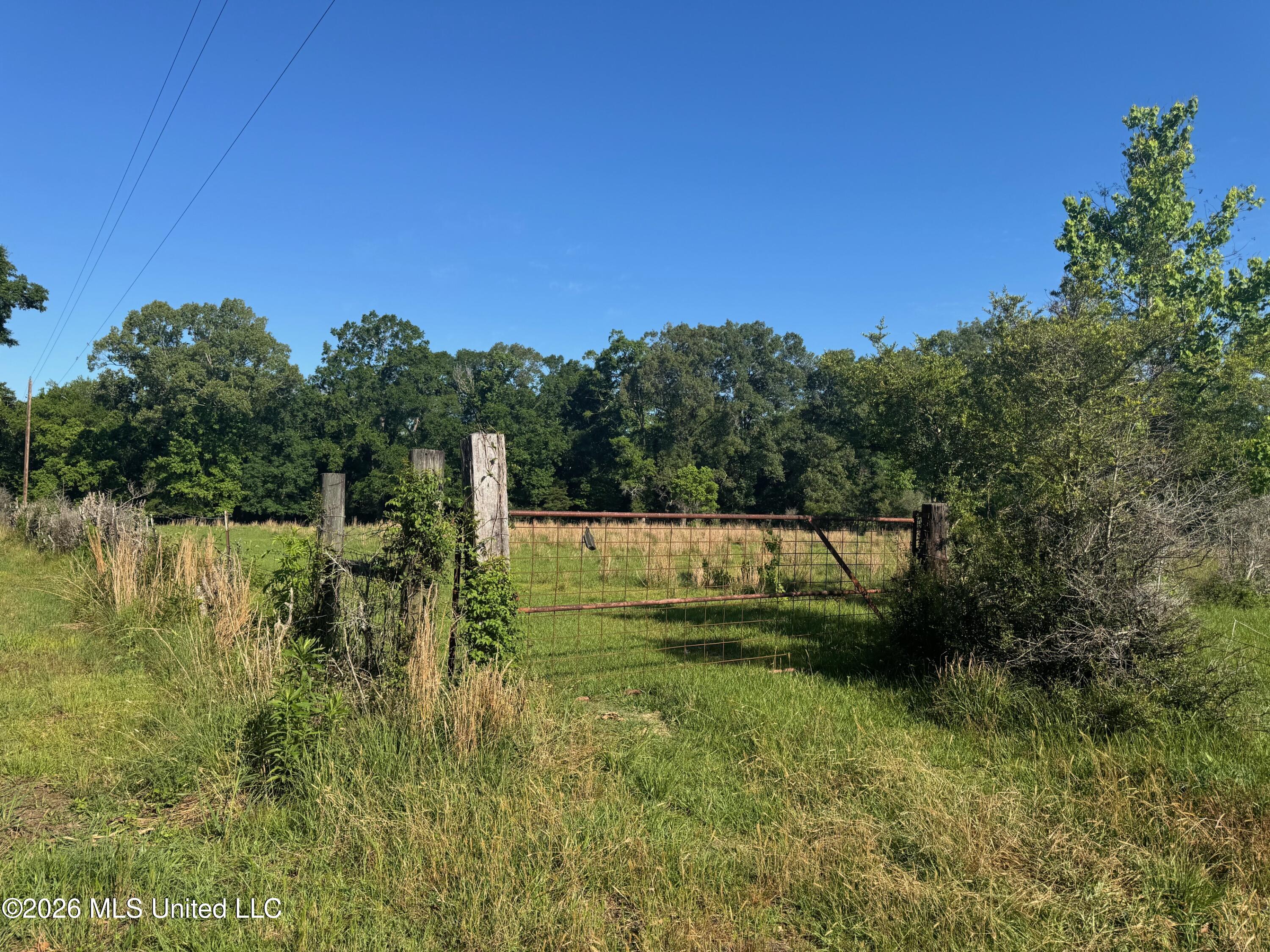 260 Mitchell Chapel Road Property Photo 1