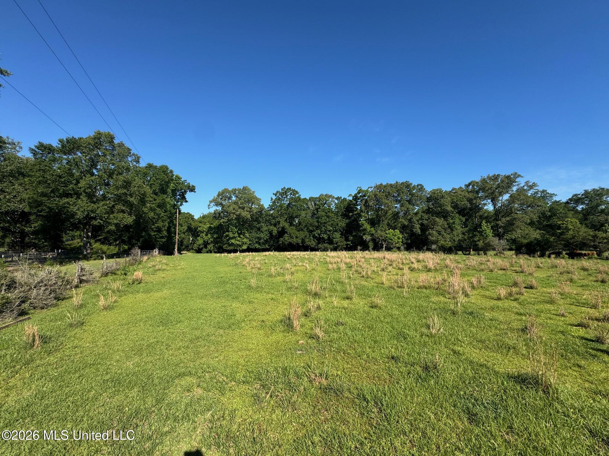 260 Mitchell Chapel Road Property Photo 2