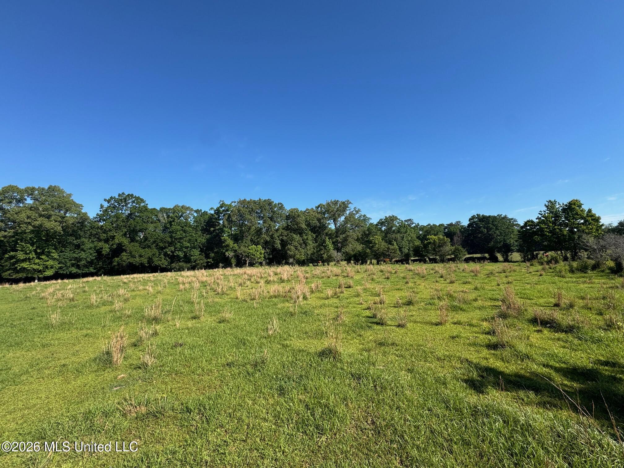 260 Mitchell Chapel Road Property Photo 3