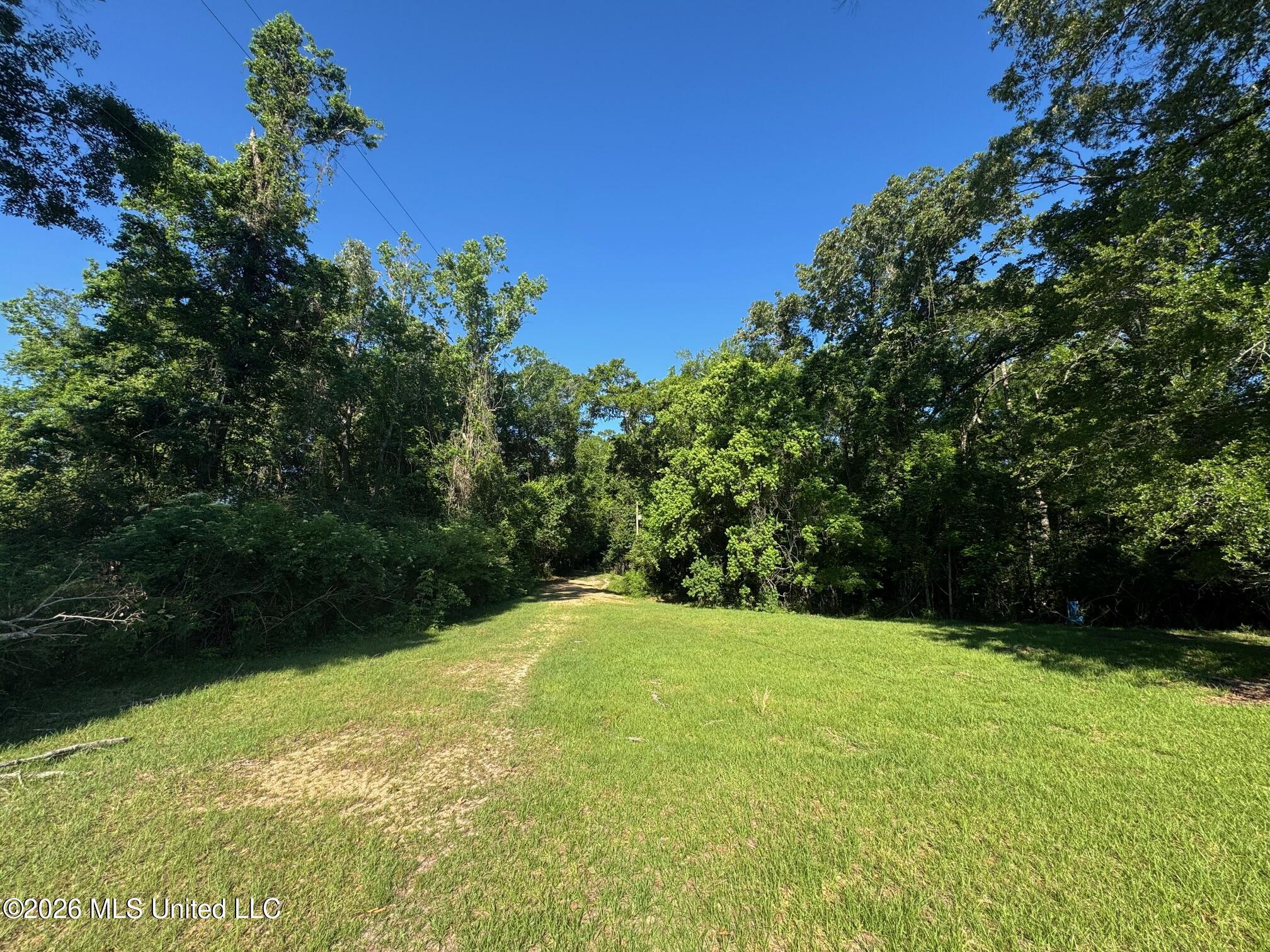 260 Mitchell Chapel Road Property Photo 5