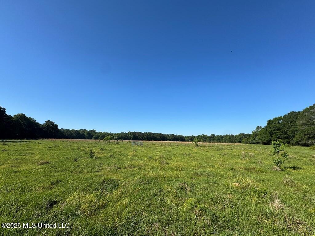 260 Mitchell Chapel Road Property Photo 6