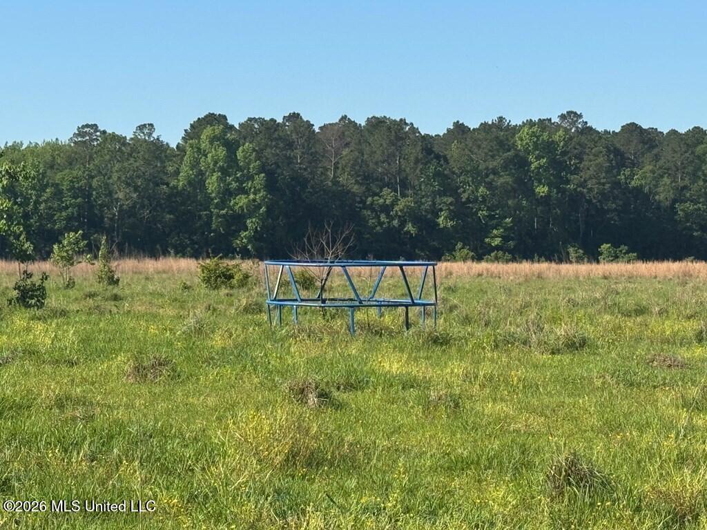 260 Mitchell Chapel Road Property Photo 7
