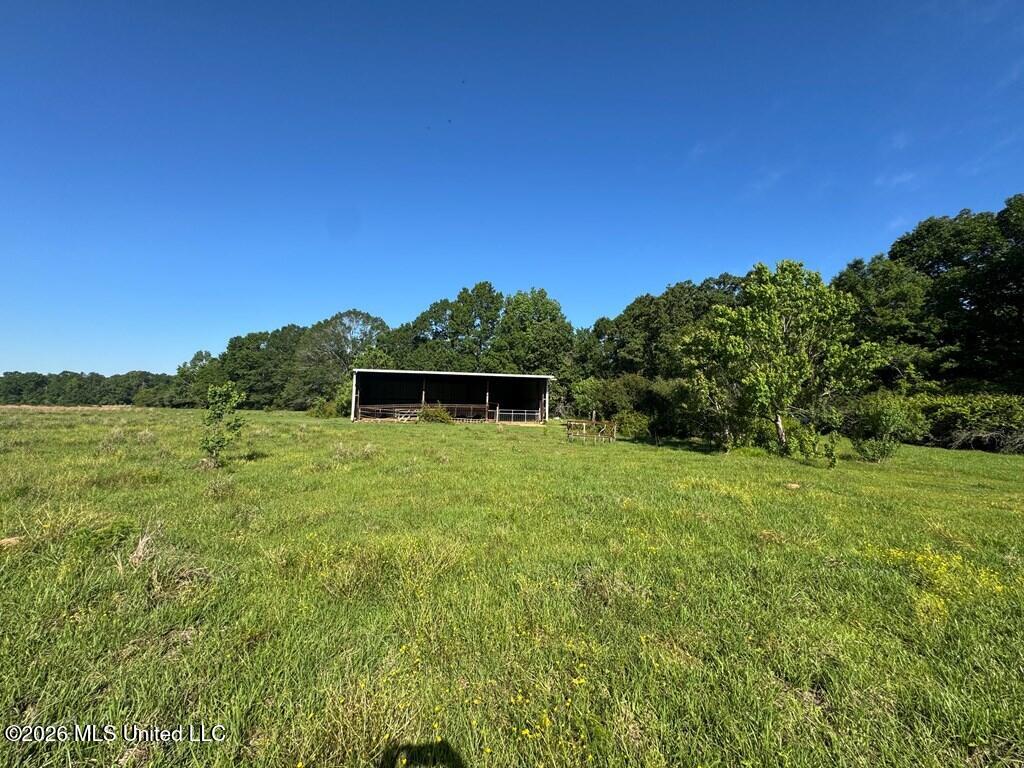 260 Mitchell Chapel Road Property Photo 11